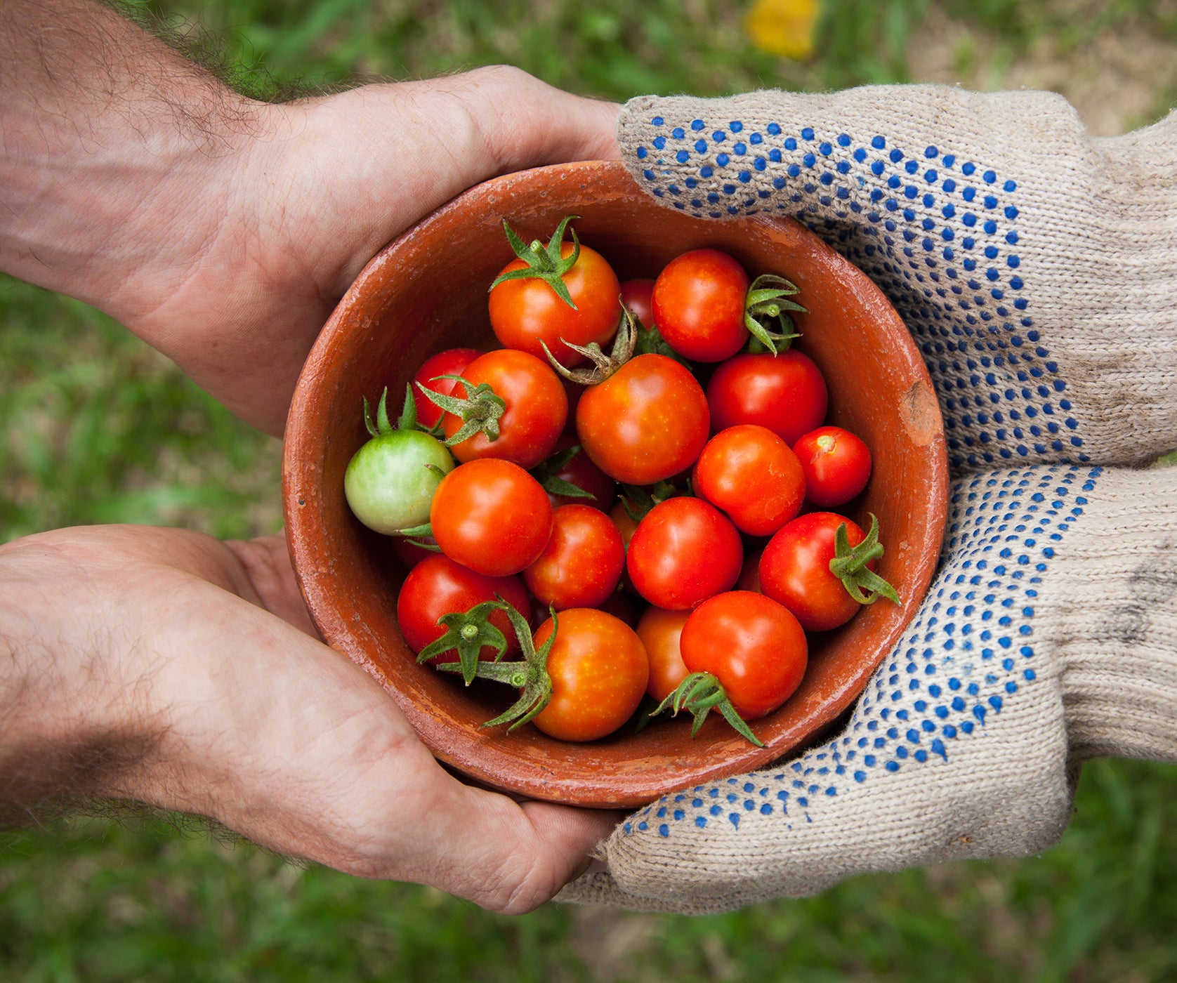 Return to your roots and plant together