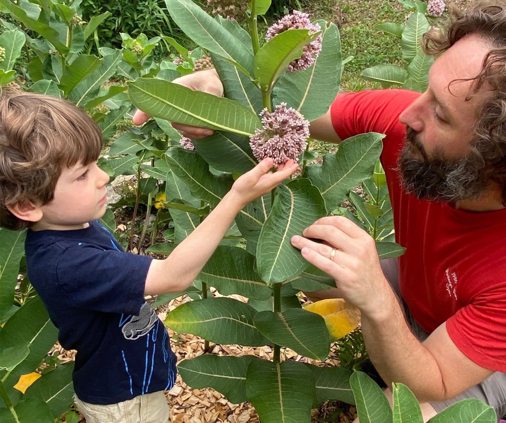 Pollinators Are Biodiversity Heroes