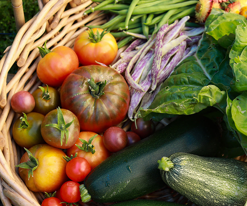 fall harvest tomatoes and zucchini