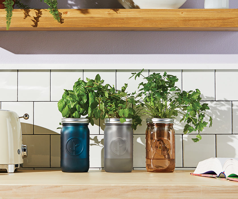 Grow a garden in your kitchen