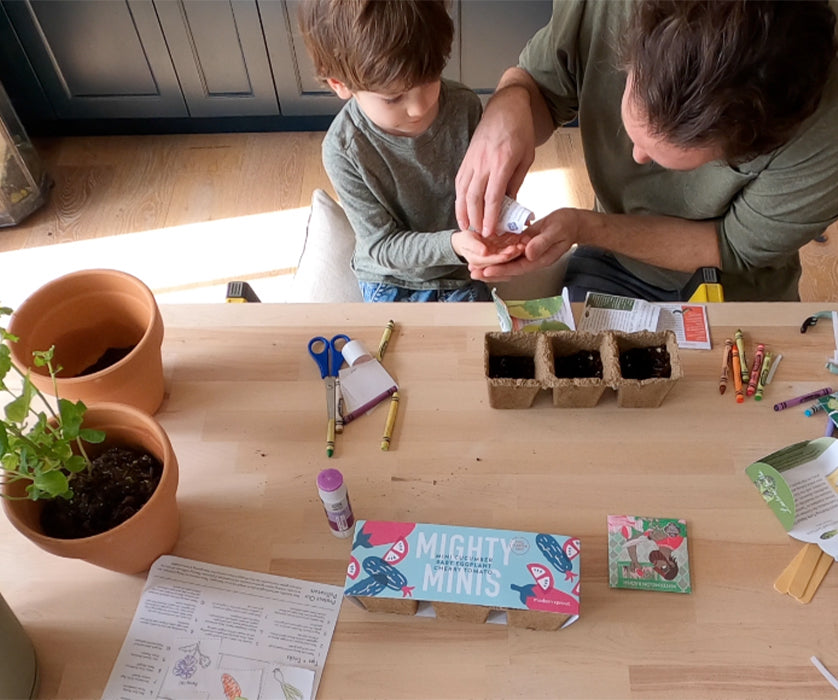 Home Grown: Starting from seed