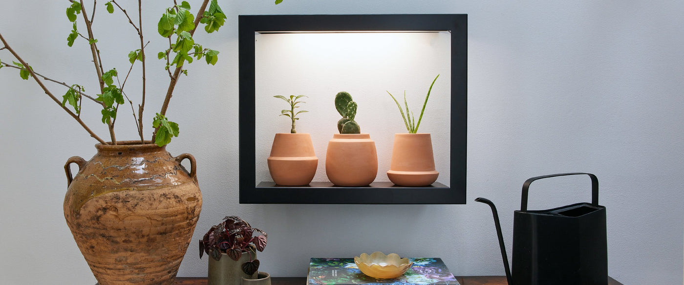 led grow lights