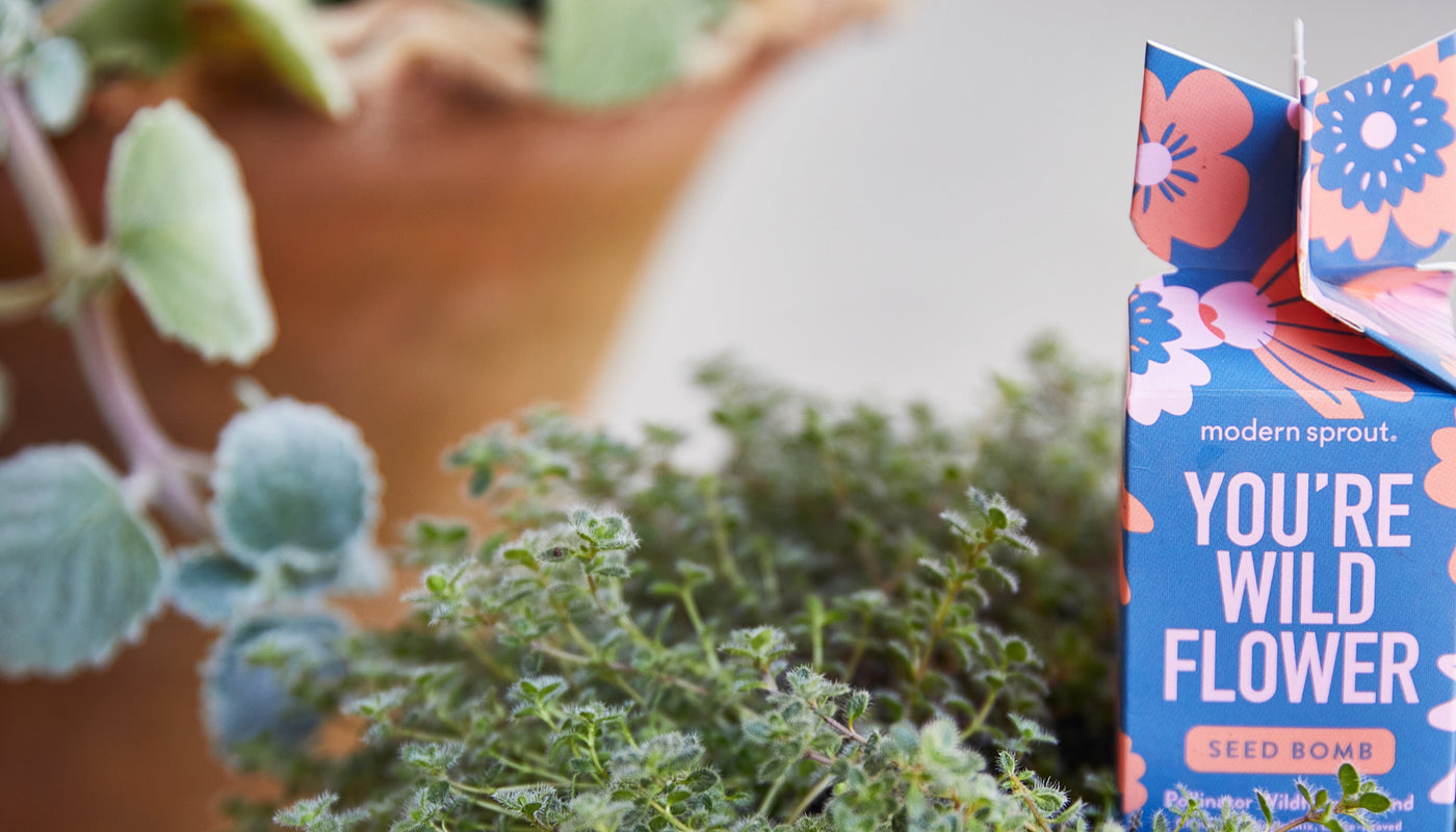 Easter Basket Stuffers Under $15