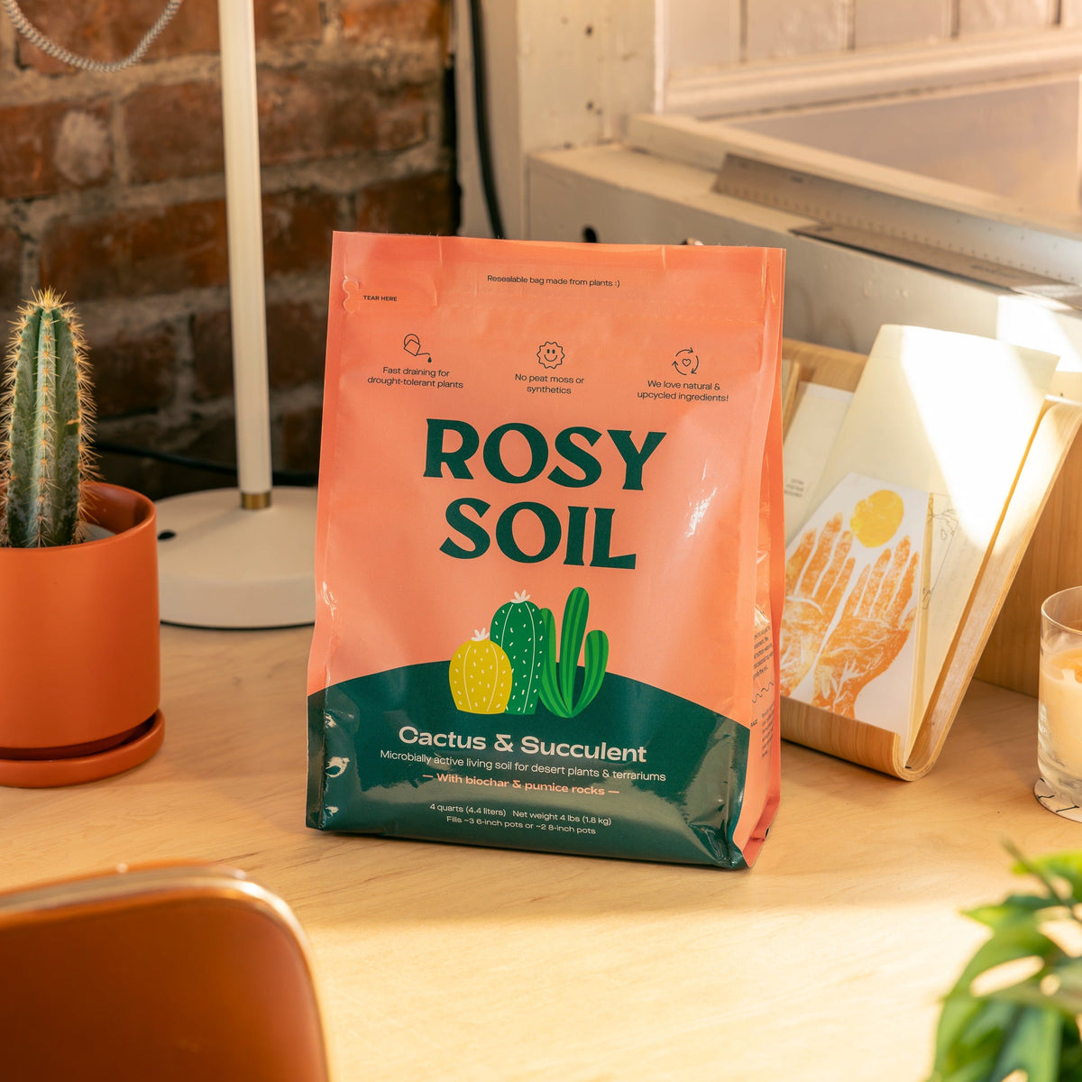 Cactus and succulent grow medium bag on a desk, with a potted cactus and plant care materials in the background.