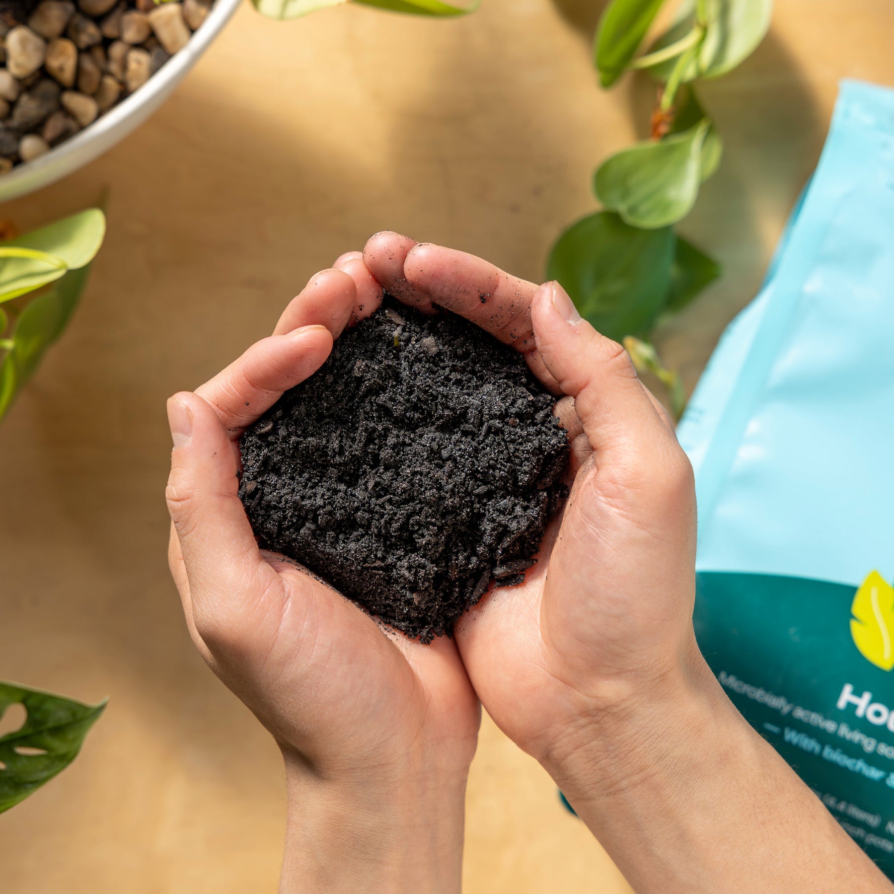 Hands holding rich, dark houseplant soil, surrounded by green leaves and a bag of plant care products.