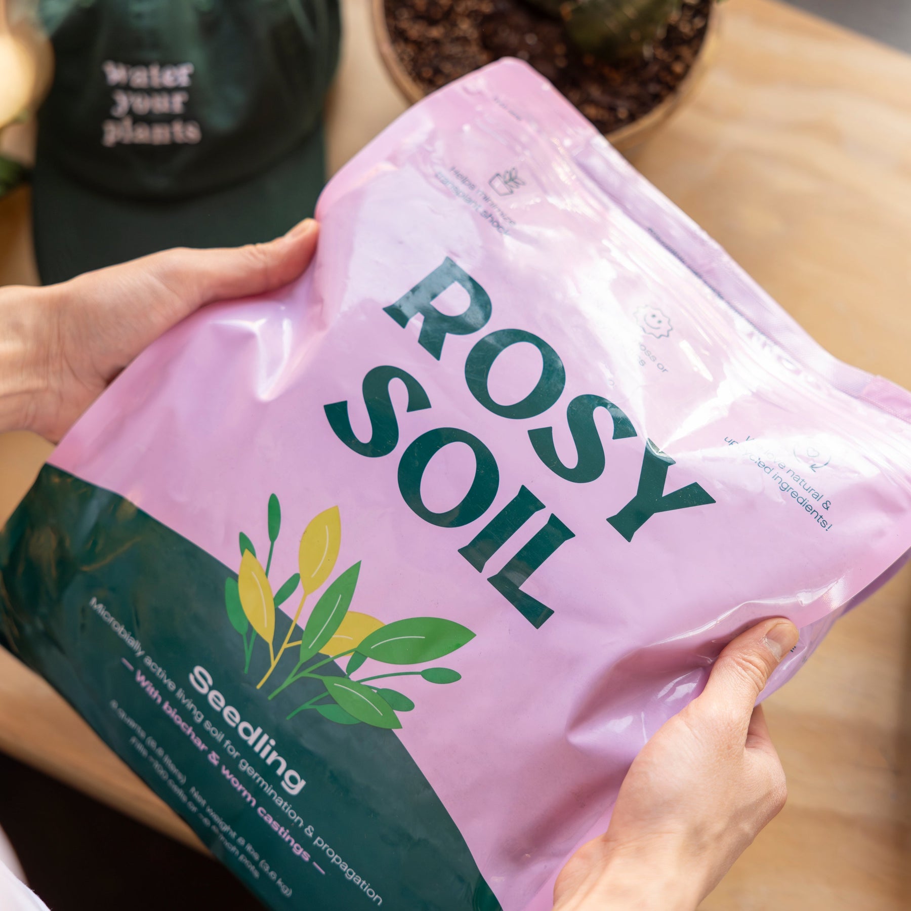 Hands holding a pink bag of Rosy Soil labeled for seedling use, featuring green plant graphics and text.