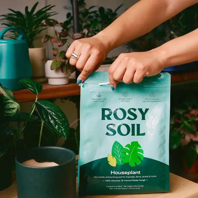 Hands holding a bag of Rosy Soil Houseplant Soil, designed for healthy plant growth with beneficial microbes and fungi.