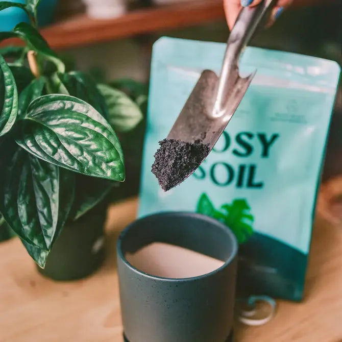 A hand holding a shovel with black houseplant soil above a gray pot, next to a green leafy plant and a soil bag.