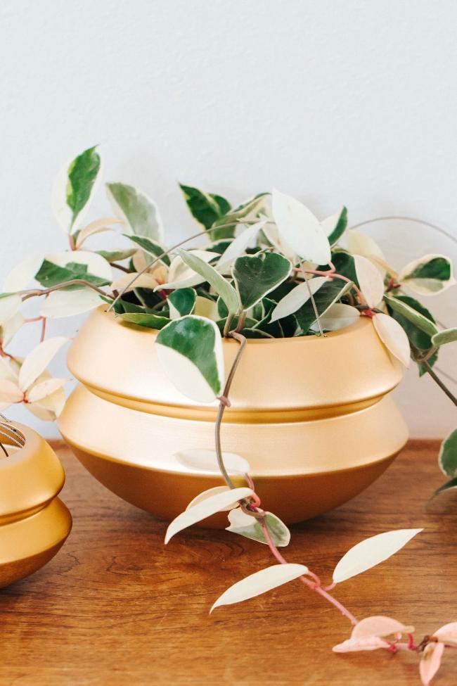 Hanging Planter by Carter + Rose