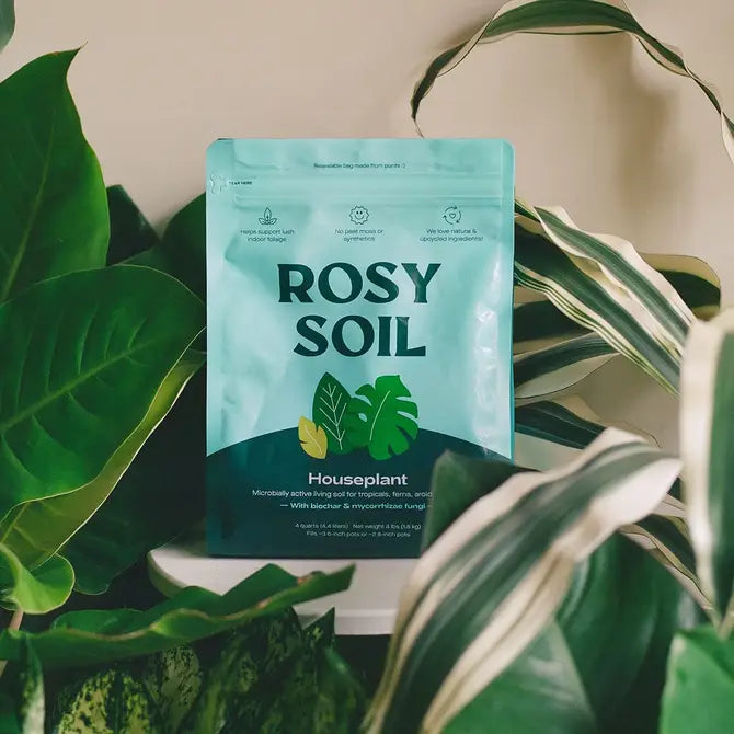 Houseplant soil bag labeled "Rosy Soil" surrounded by green leaves, designed for healthy plant growth and nourishment.
