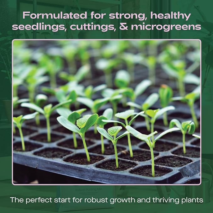 Seedling soil in trays with vibrant green seedlings, promoting strong growth for plants and microgreens.