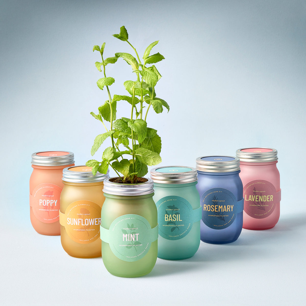 Colorful garden jars in pastel shades, each labeled with a plant name, showcasing a mint plant growing from the center jar.