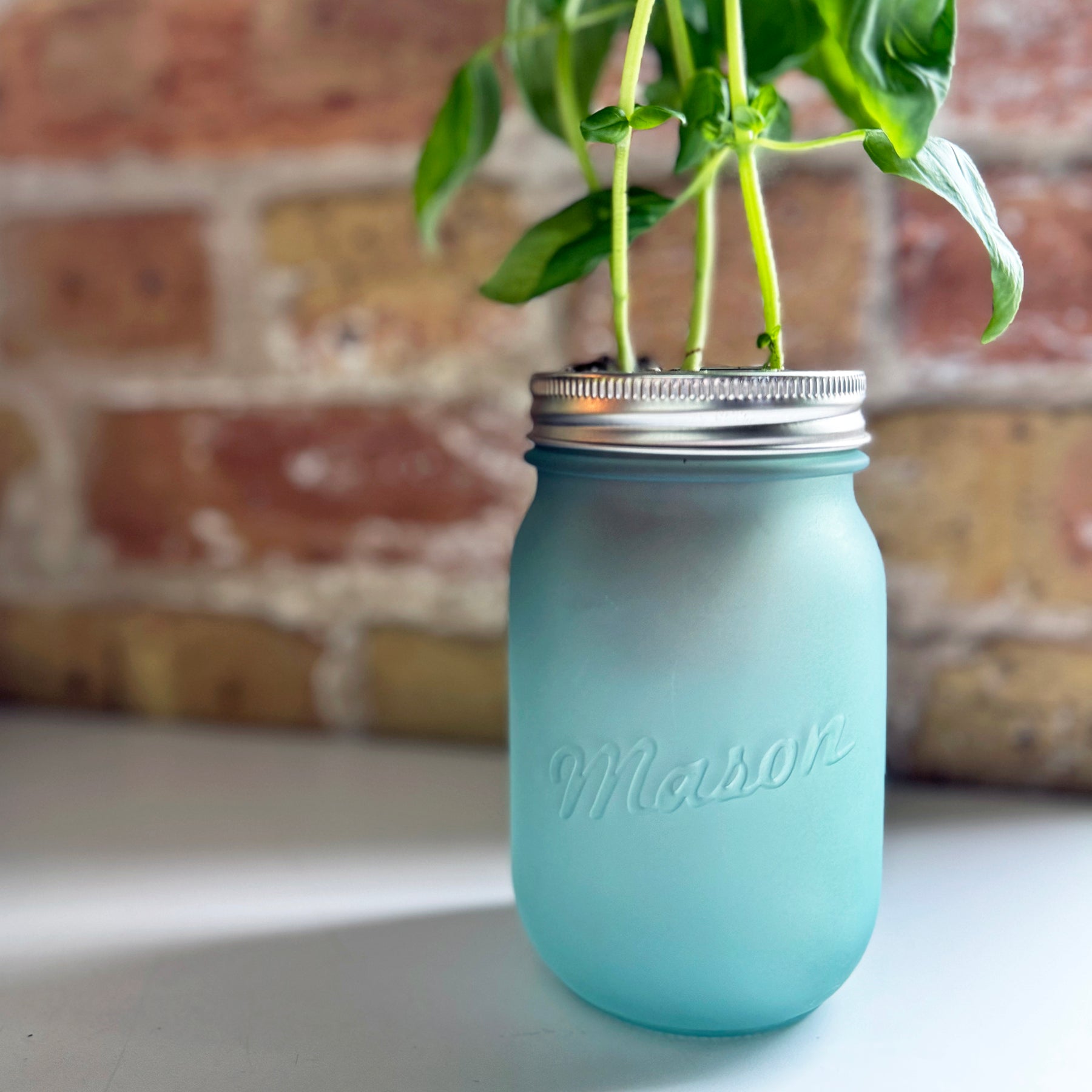Frosted glass pint jar with a silver lid, featuring a small plant growing inside, set against a brick background.