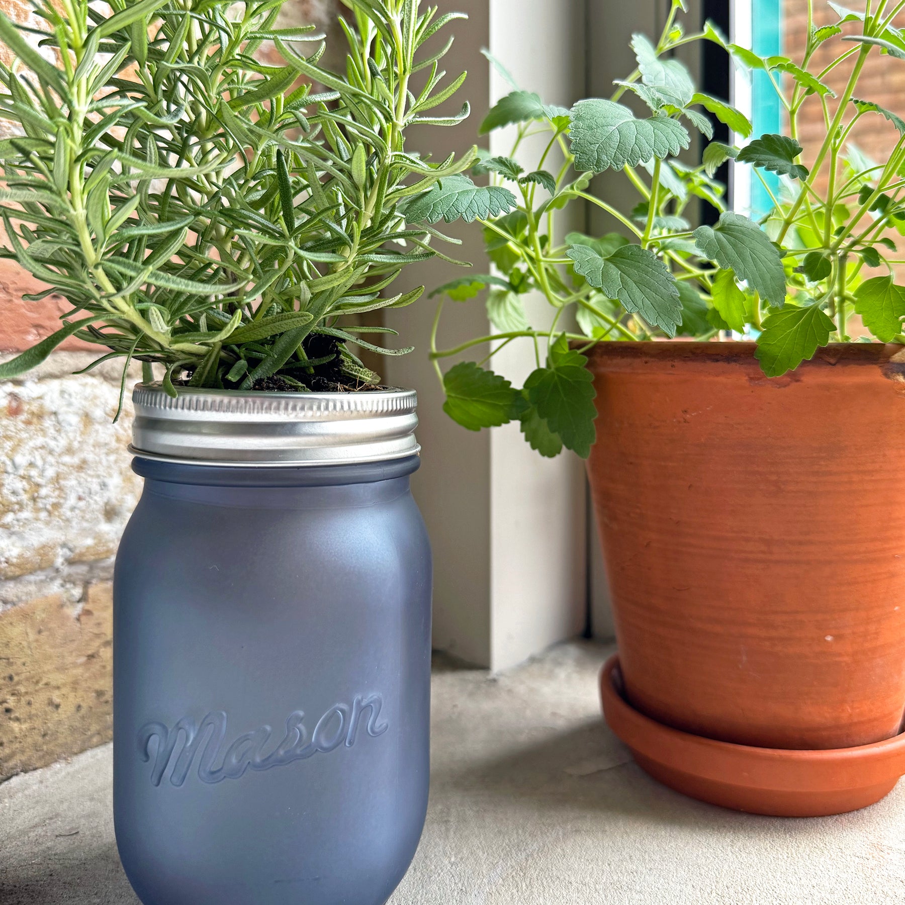 Mason jar with herbs, featuring rosemary and another green plant, placed near a terracotta pot by a window.