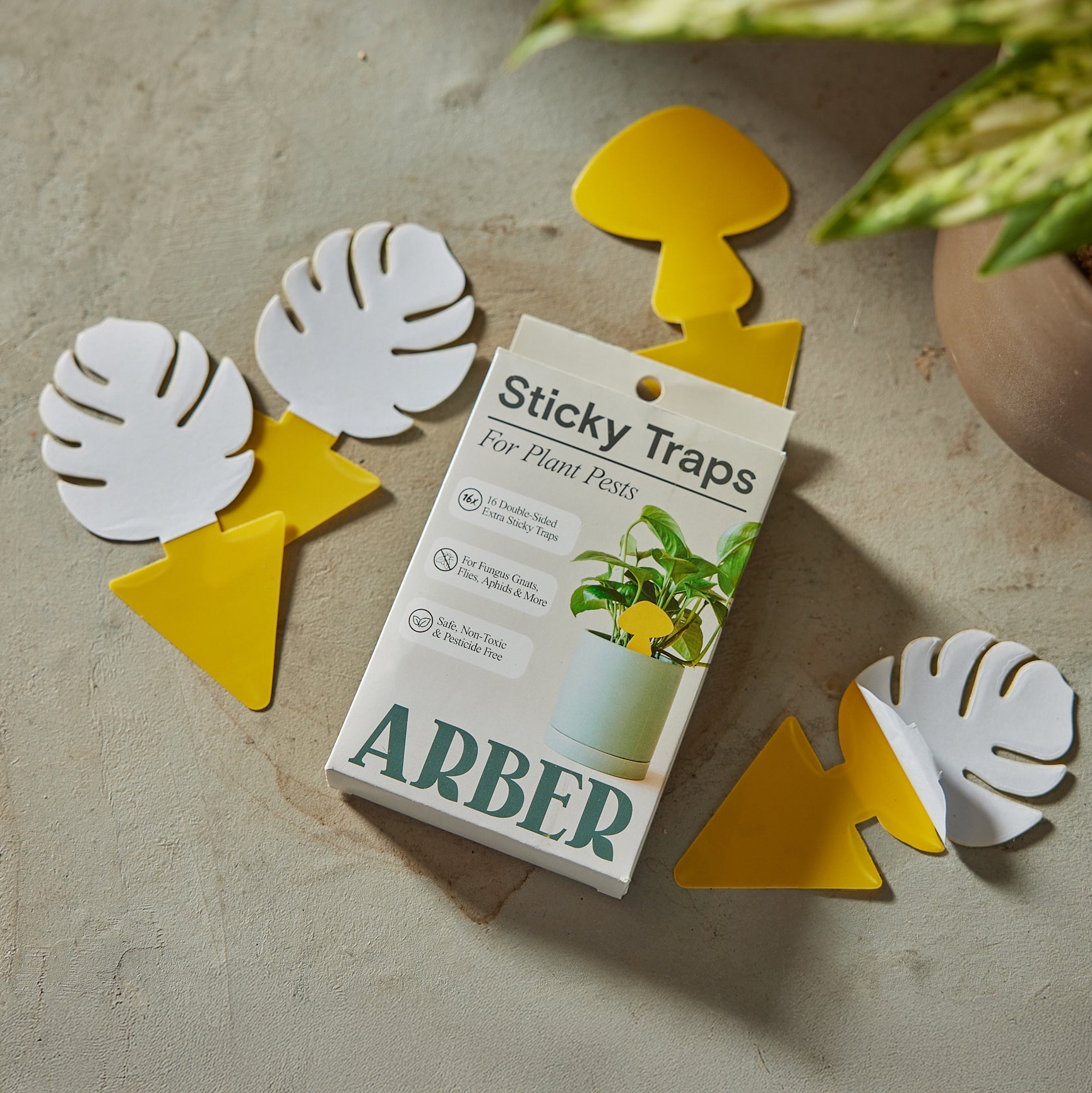 sticky fly traps for house plants Arber Sticky Traps for Plant Pests