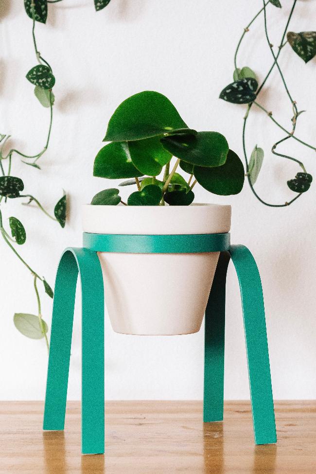 Metal Plant Stand with Porcelain Pot