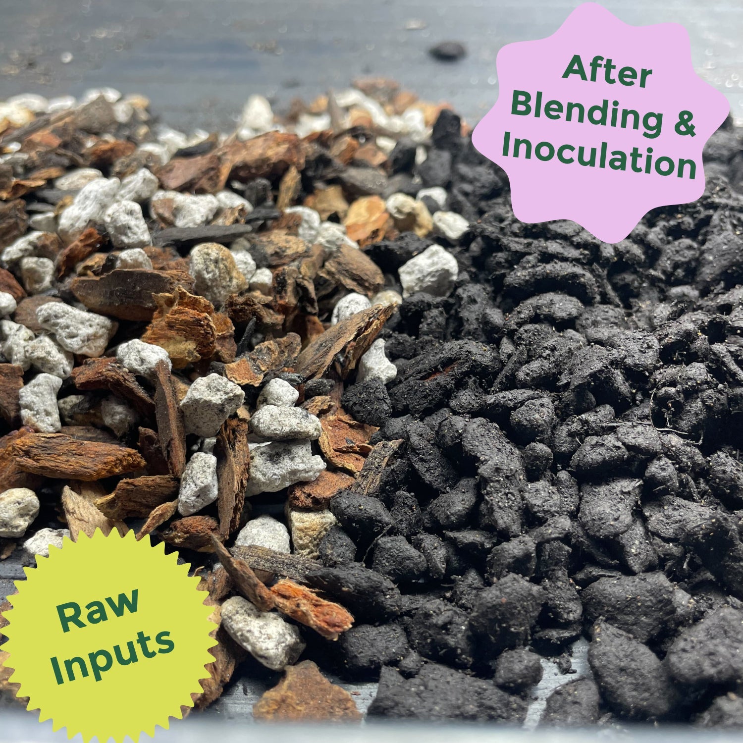 Close-up of cactus and succulent grow medium, featuring a blend of various soil components and textures.