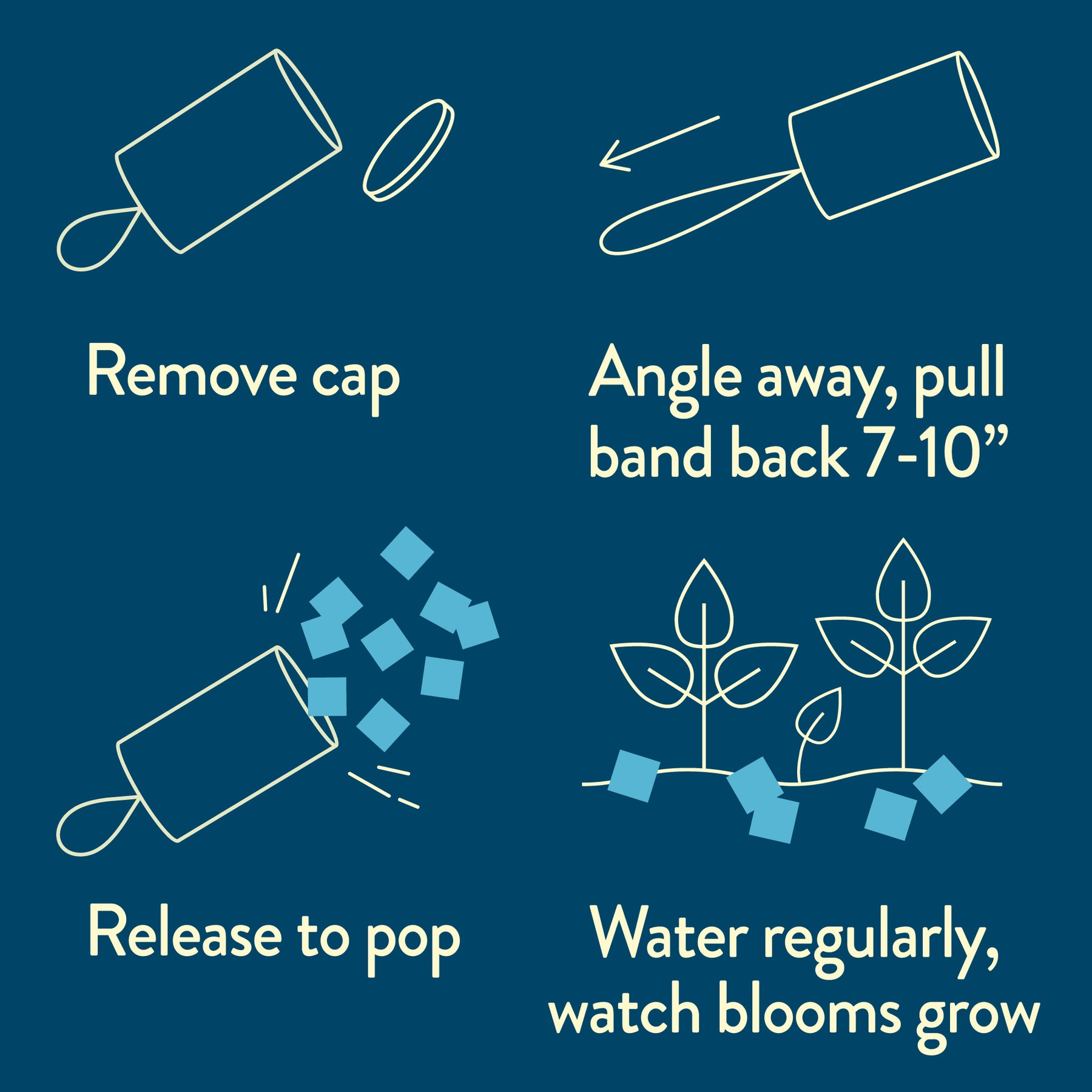 Instructions for using a Seed Confetti Popper, showing steps to remove cap, pull band, release seeds, and care for plants.