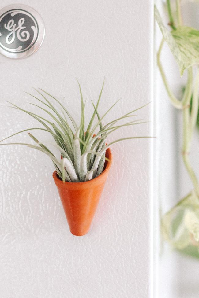 Mini Wall Planter Magnet