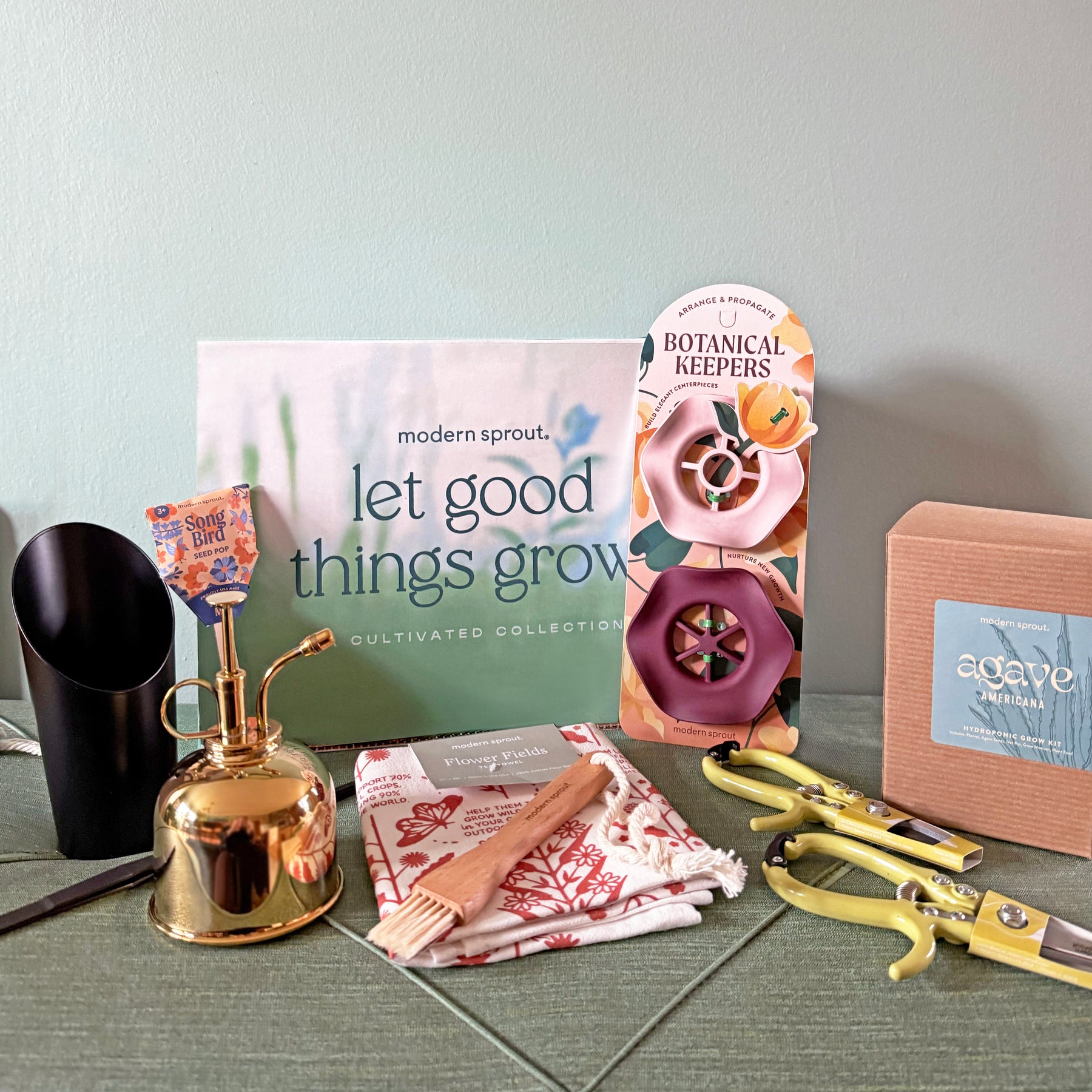 Limited edition gift box featuring a watering can, plant care tools, decorative items, and a growth-themed card.