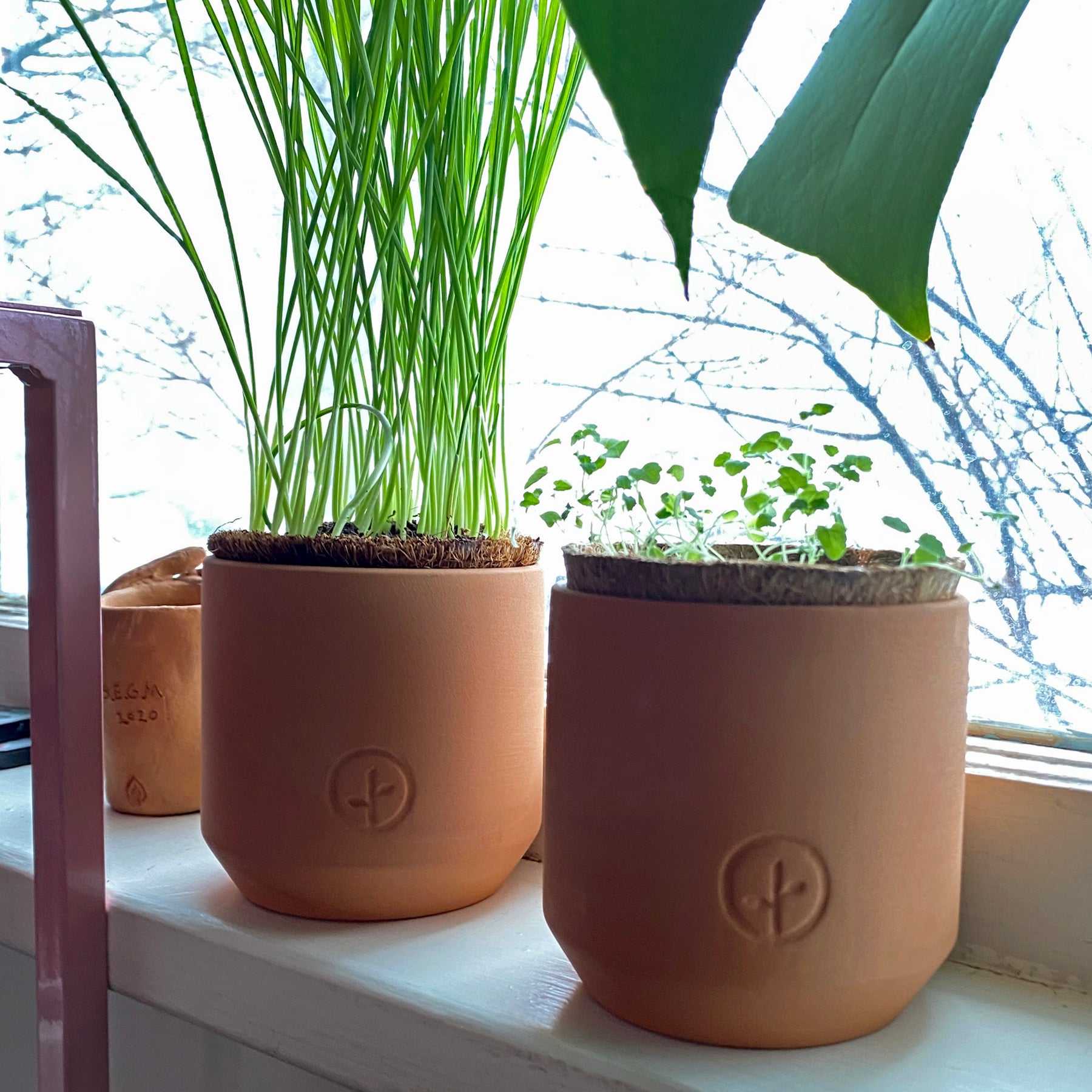 Tiny terracotta grow kits with green sprouts sit on a windowsill, showcasing a natural, earthy aesthetic.