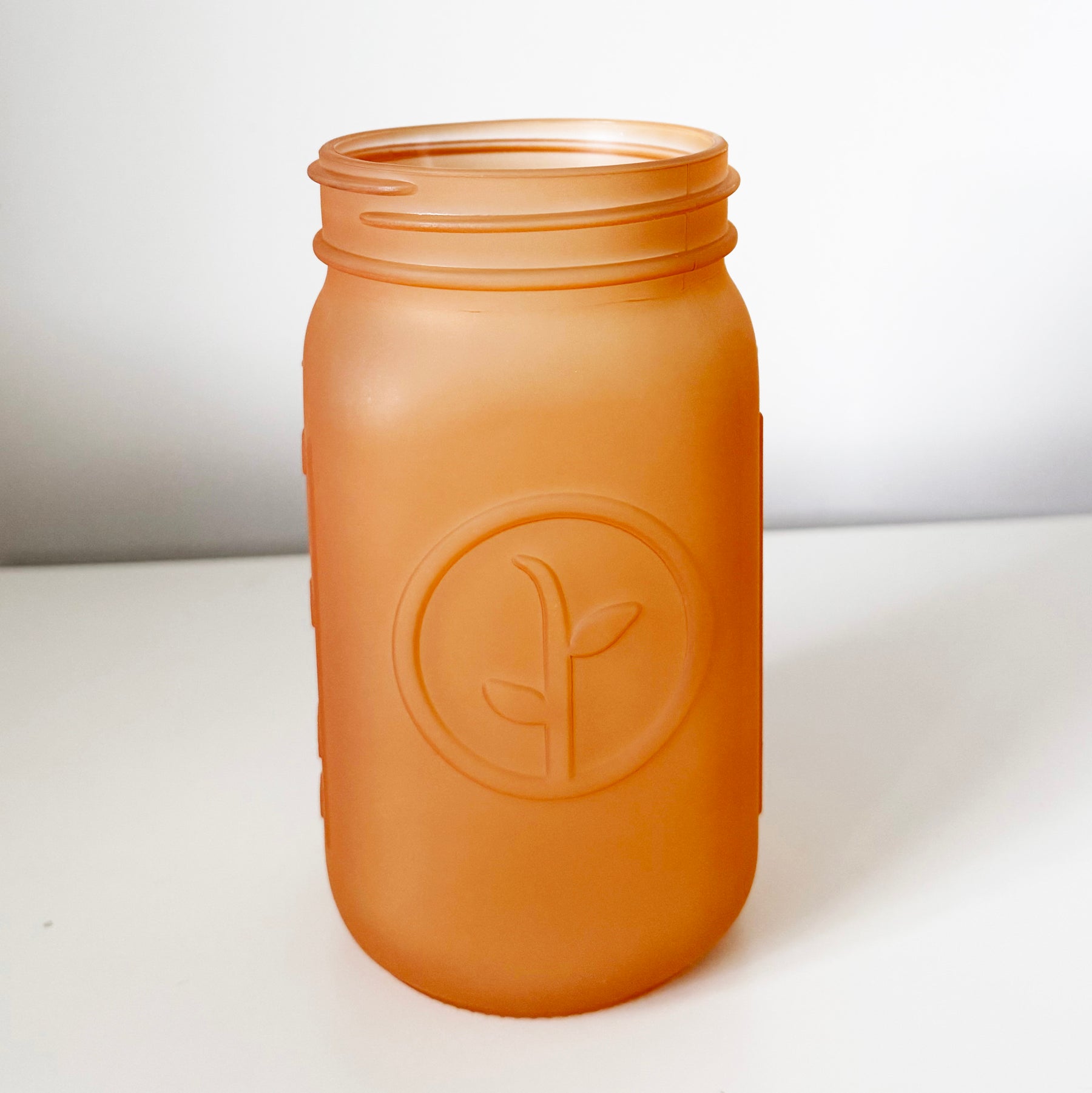Frosted Mason Jars - 6pk