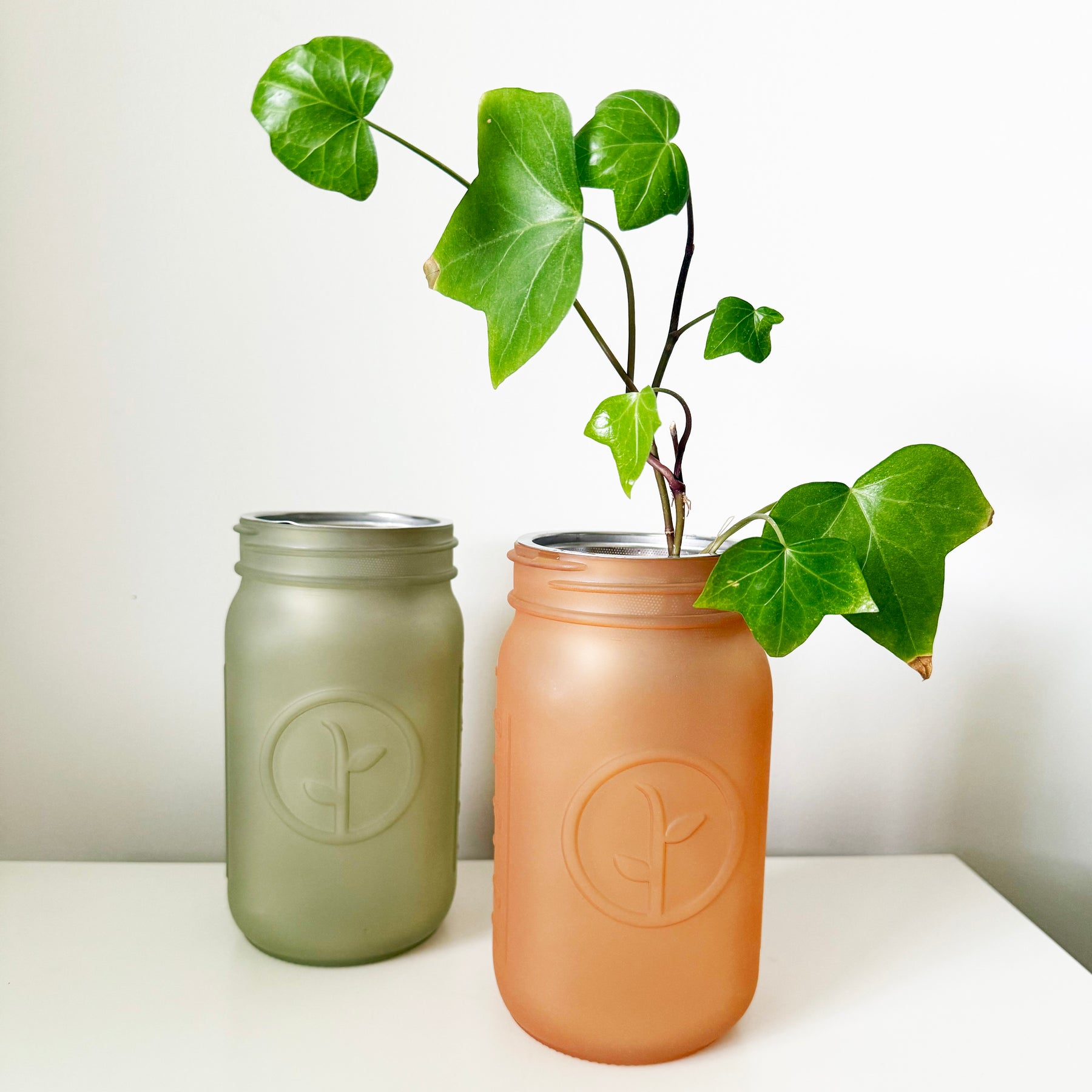 Frosted Mason Jars - 6pk