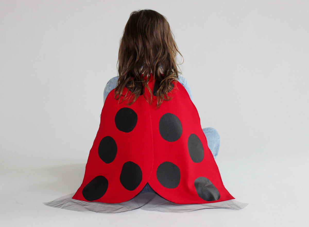 Ladybug Wings Costume