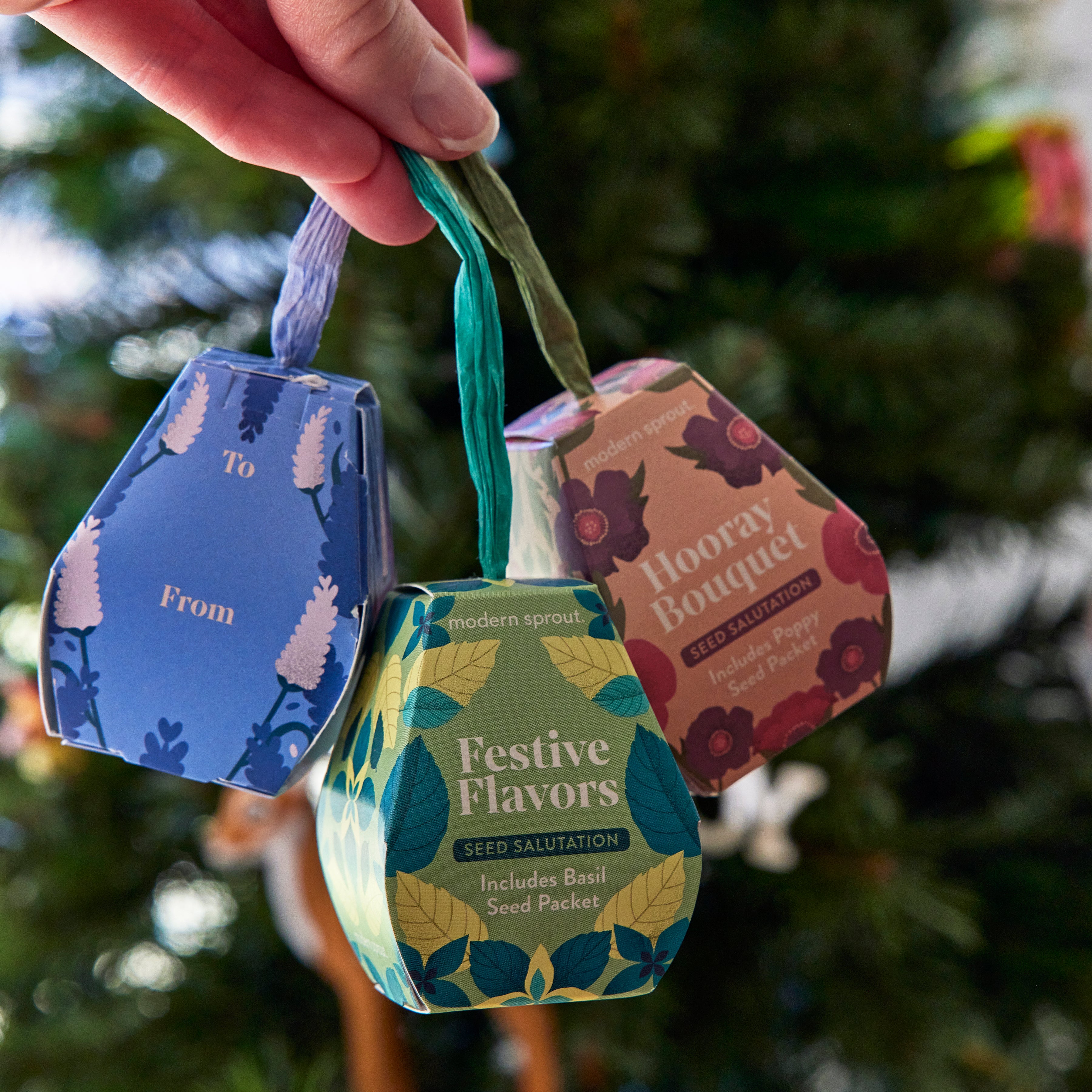 Seed Salutations | Festive Gift Tags With Seed Packets | Modern Sprout