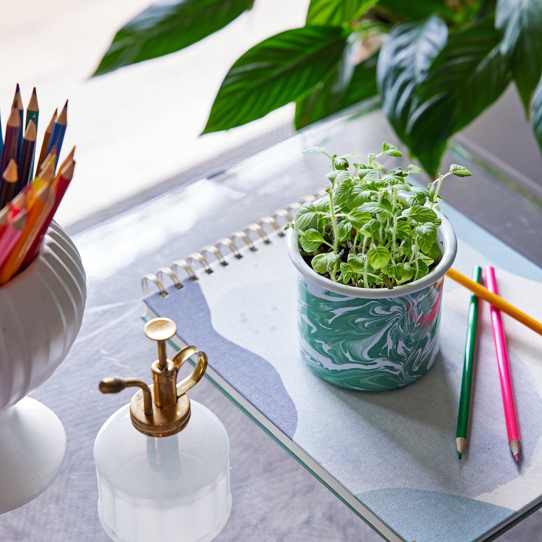 A marble-patterned mug filled with young herb seedlings sits on a table next to colored pencils and a notebook.
