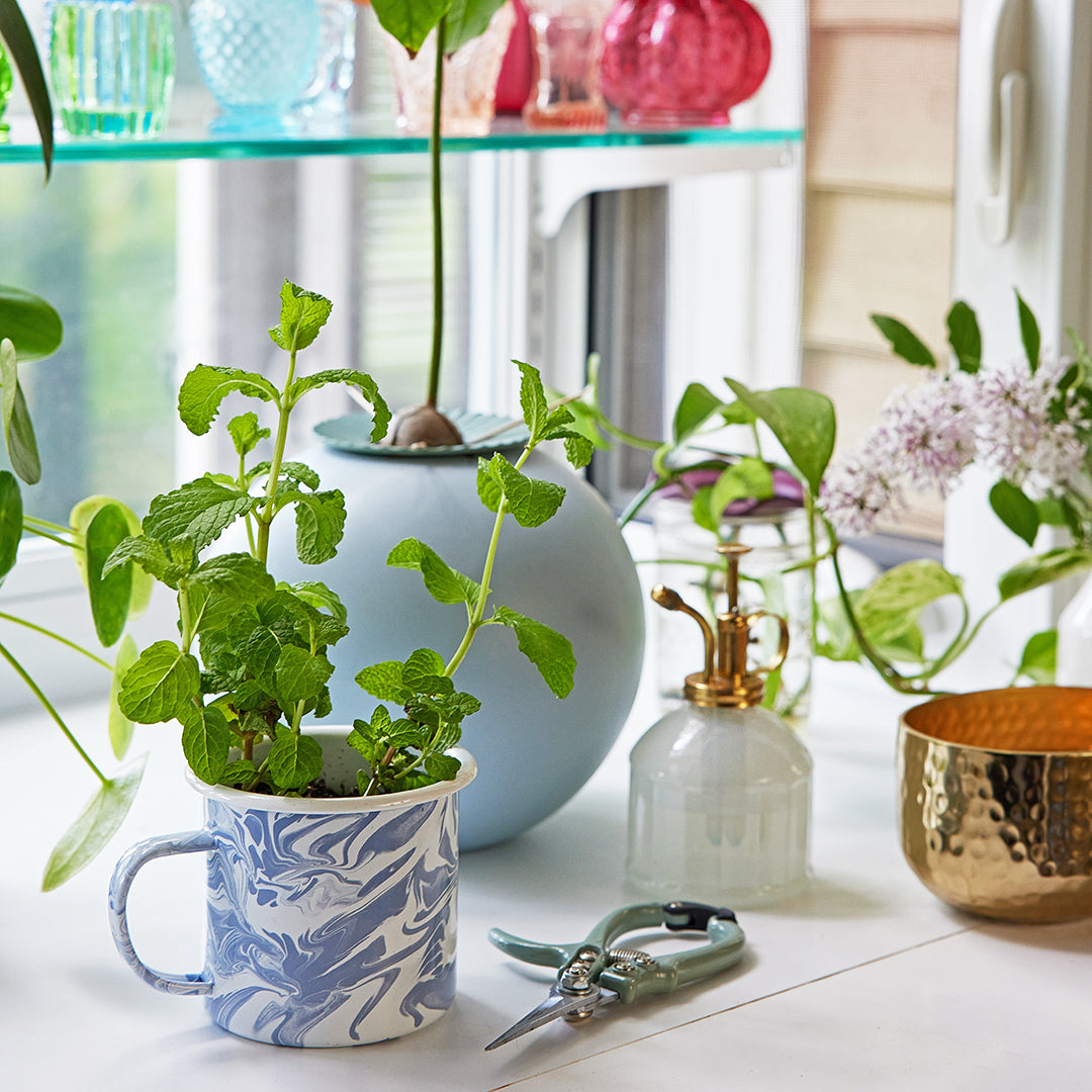 Marbled mug with growing mint plant beside a blue vase, scissors, and decorative glassware on a bright windowsill.