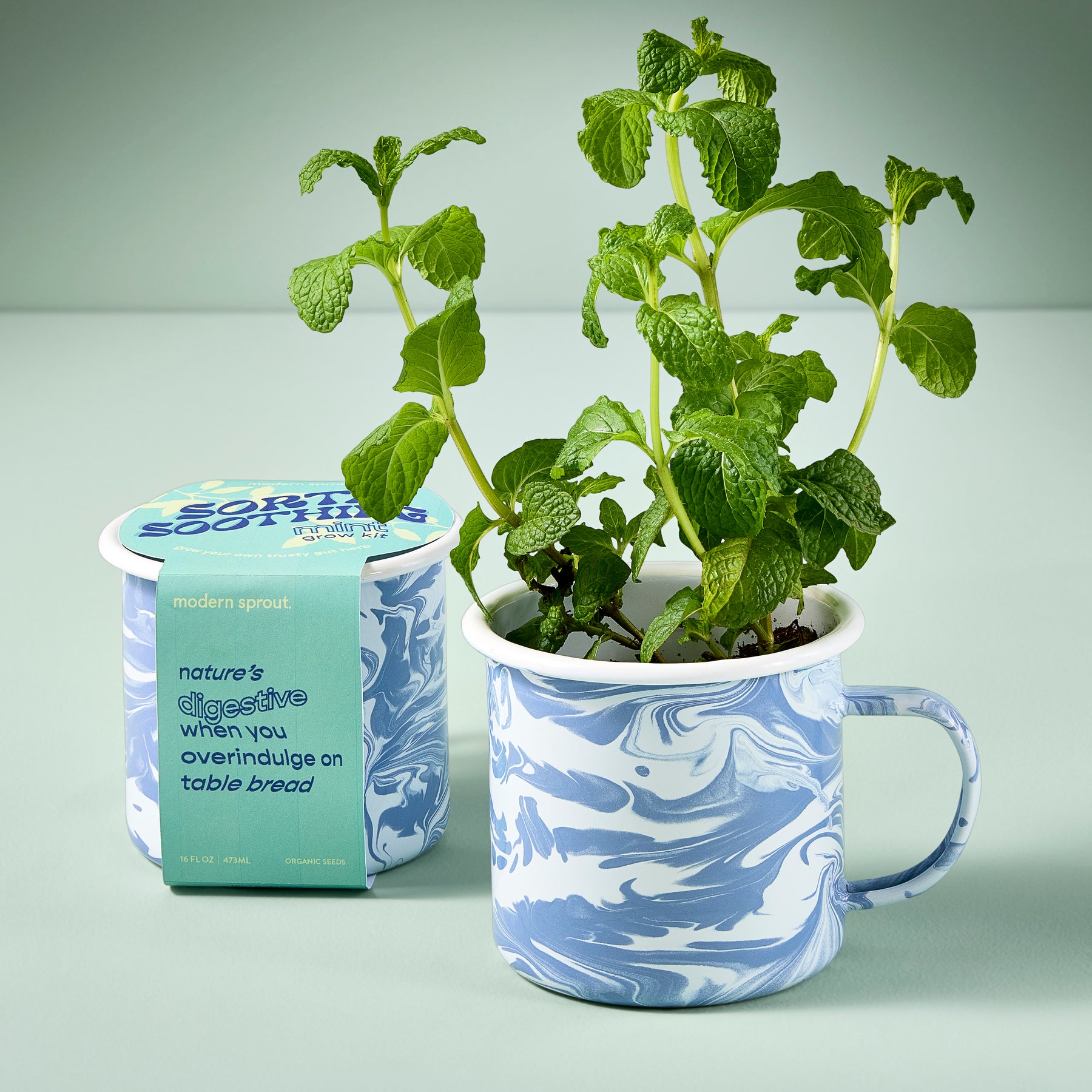 Marbled mug with mint plant growing inside, accompanied by a packaging label highlighting its digestive benefits.