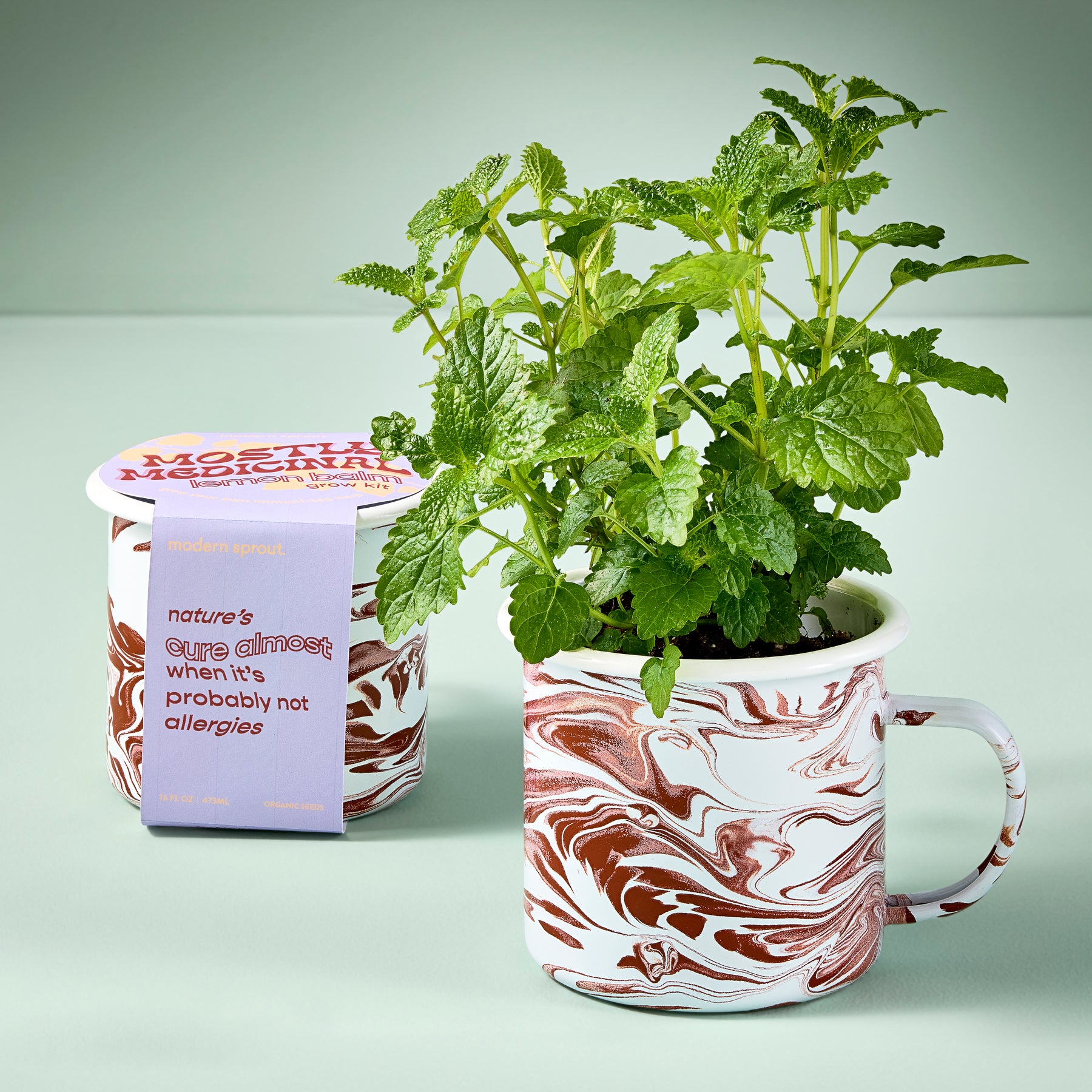 Marbled mug grow kit with fresh mint plant, featuring a label that highlights its natural benefits for allergies.