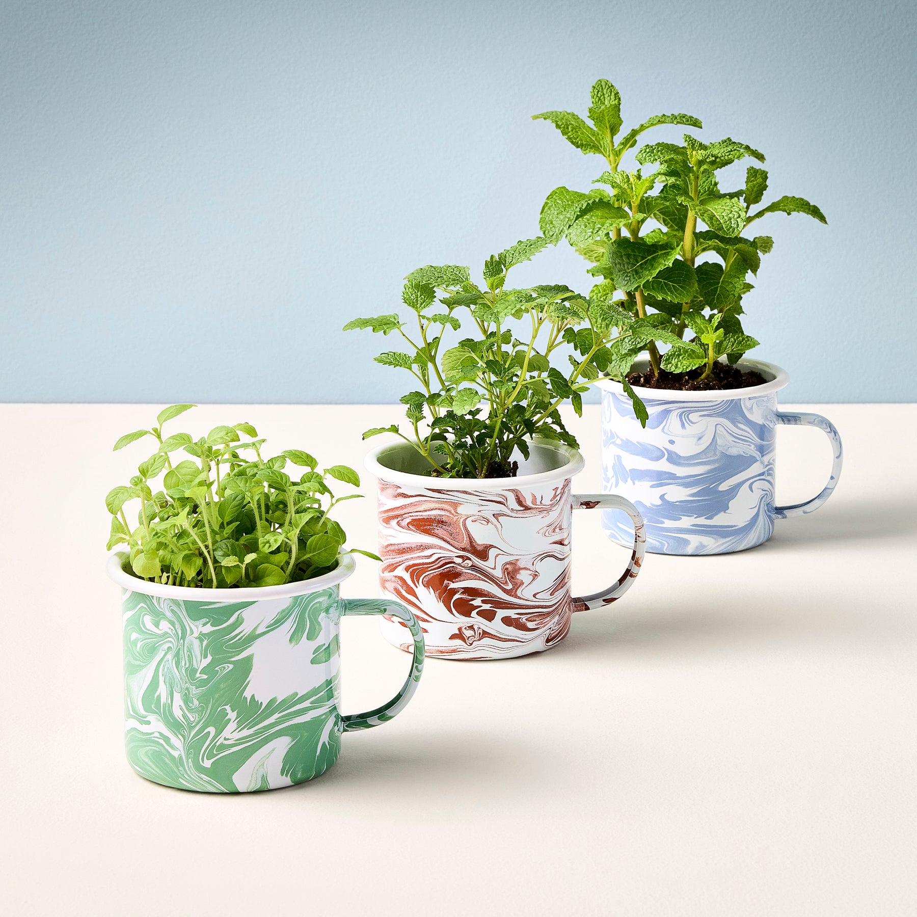 Three marbled mugs filled with fresh herbs, including mint and leafy greens, arranged on a light background.
