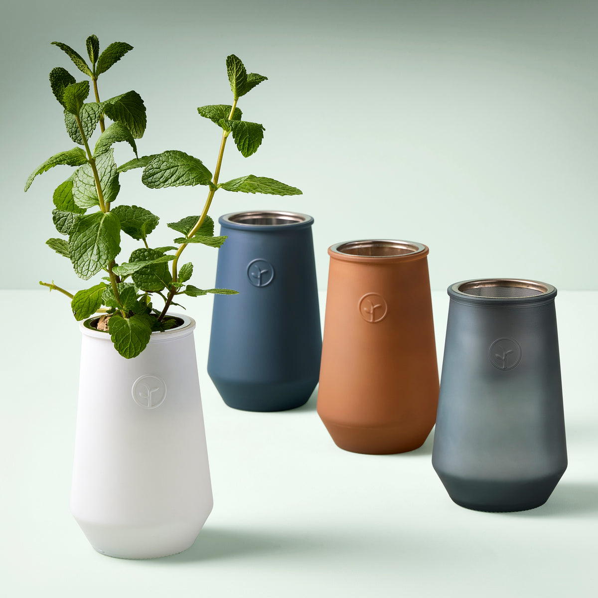 Tapered tumbler grow kits in white, blue, terracotta, and gray with a mint plant in the white tumbler.