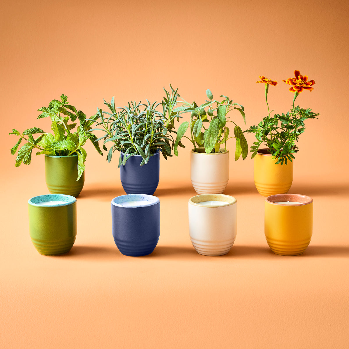 Colorful 2-in-1 candle and planter set with various herbs and flowers in stylish pots against a warm orange background.