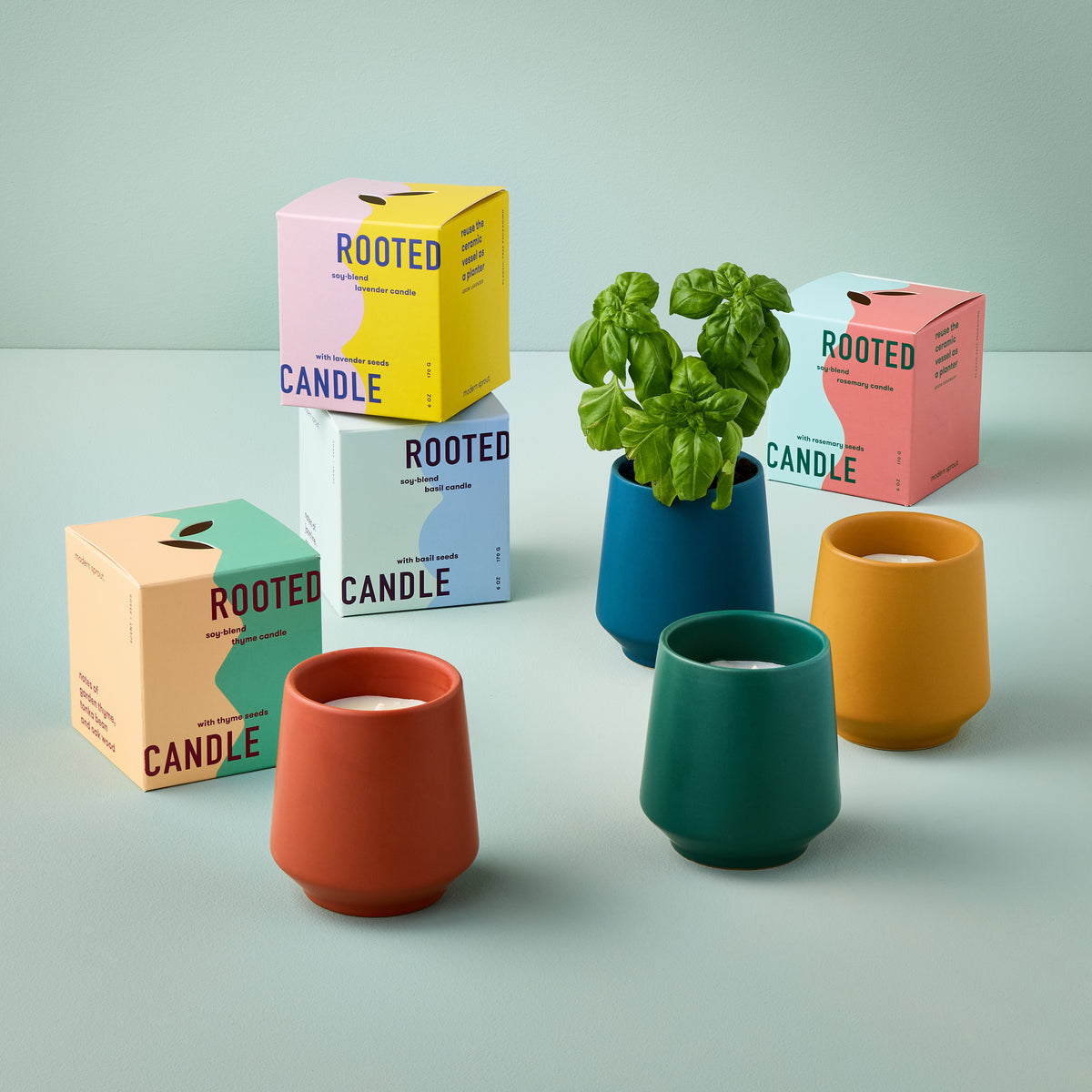 Rooted Candles