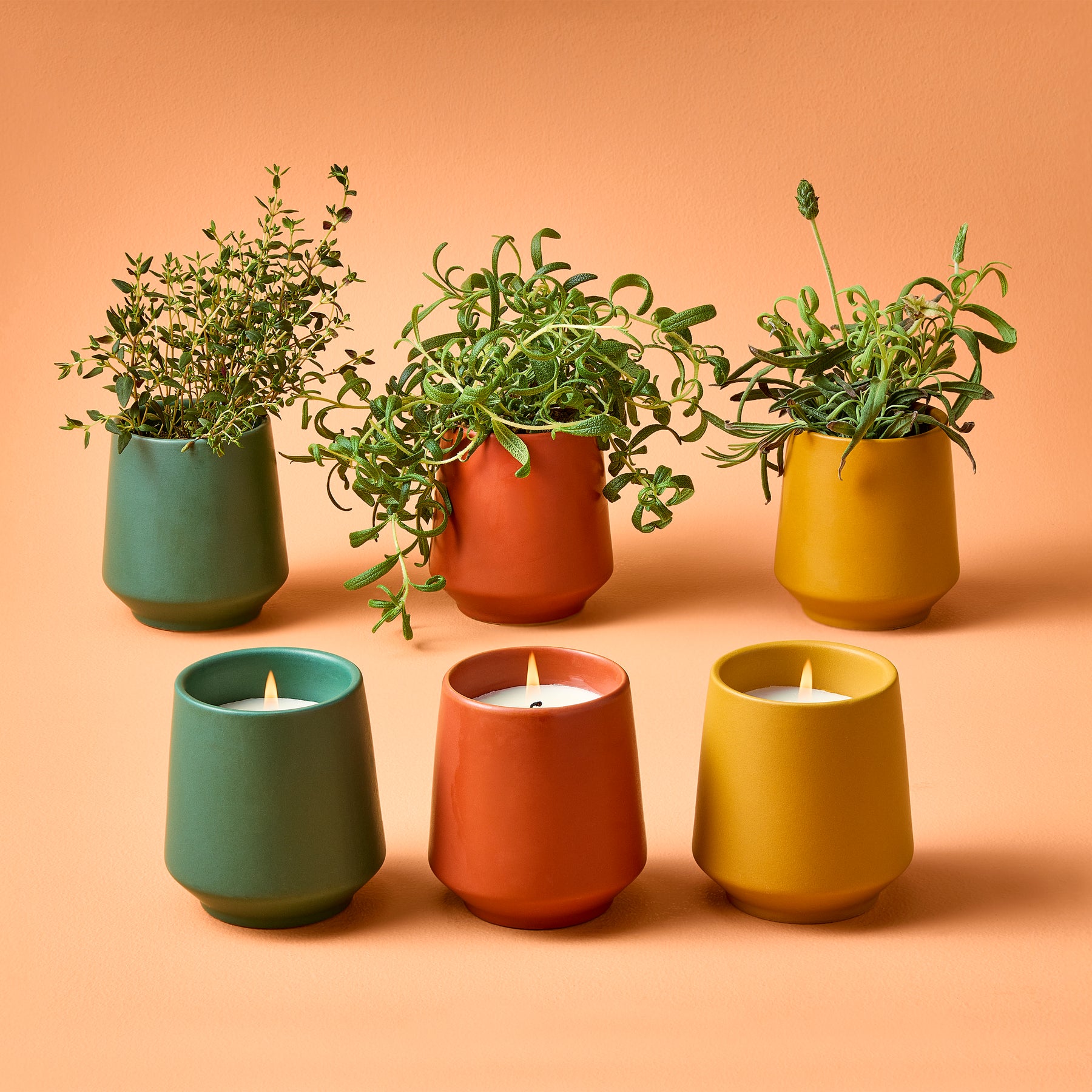Colorful ceramic candles in green, orange, and yellow pots, with herbs growing in some, set against an orange background.