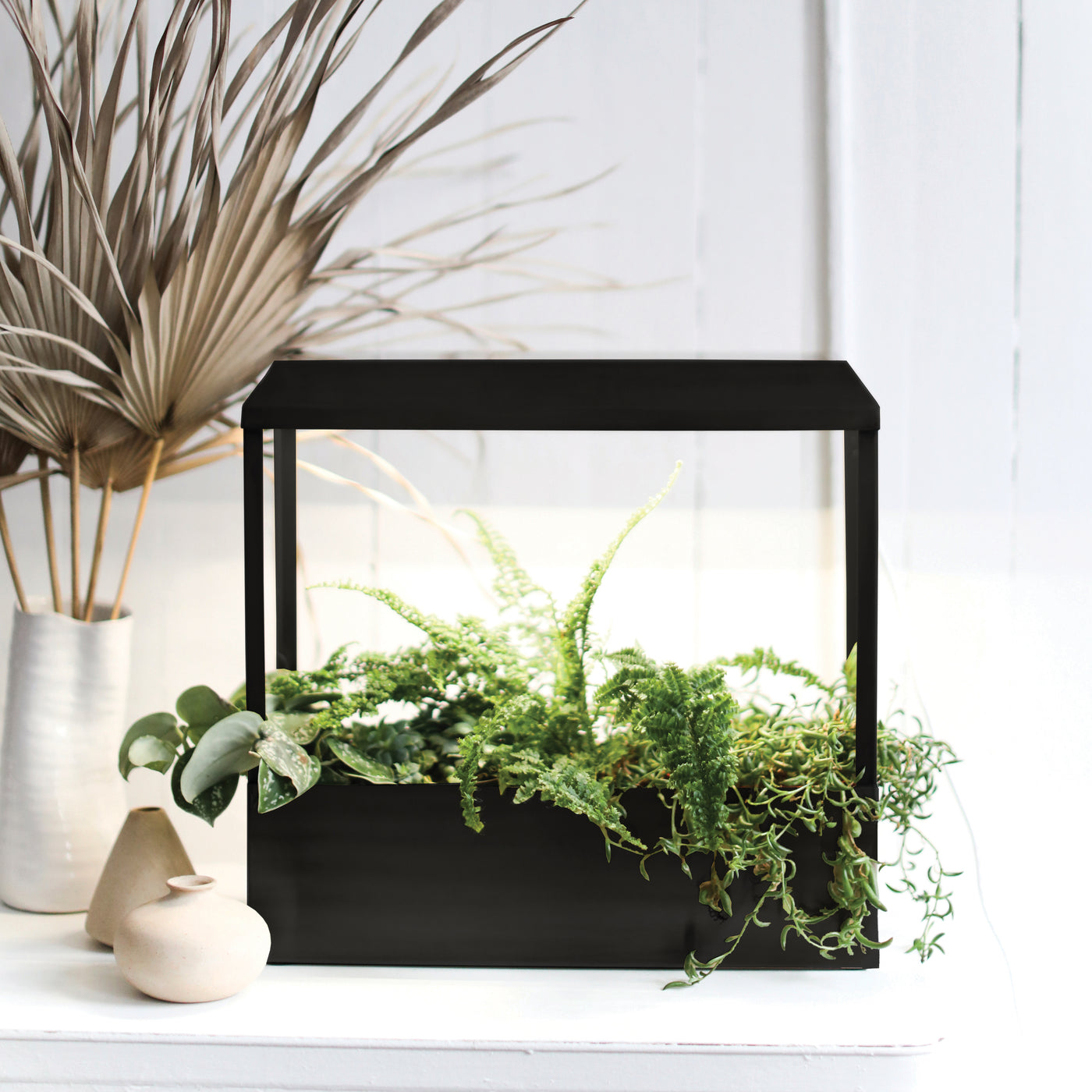 Black indoor hydroponic garden with lush green plants on a white background.