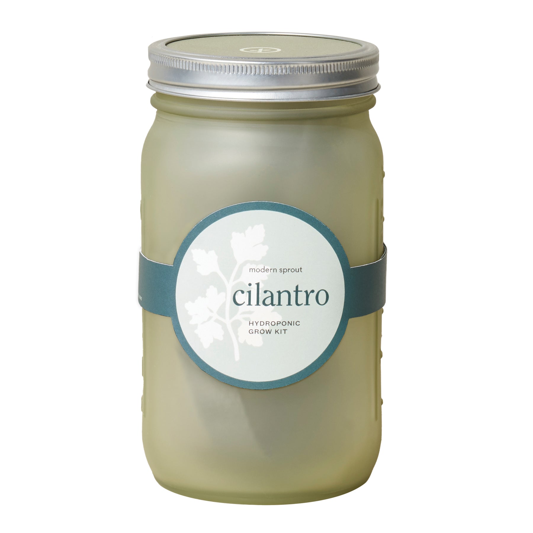 Green glass garden jar featuring a cilantro hydroponic grow kit label, designed for indoor gardening.