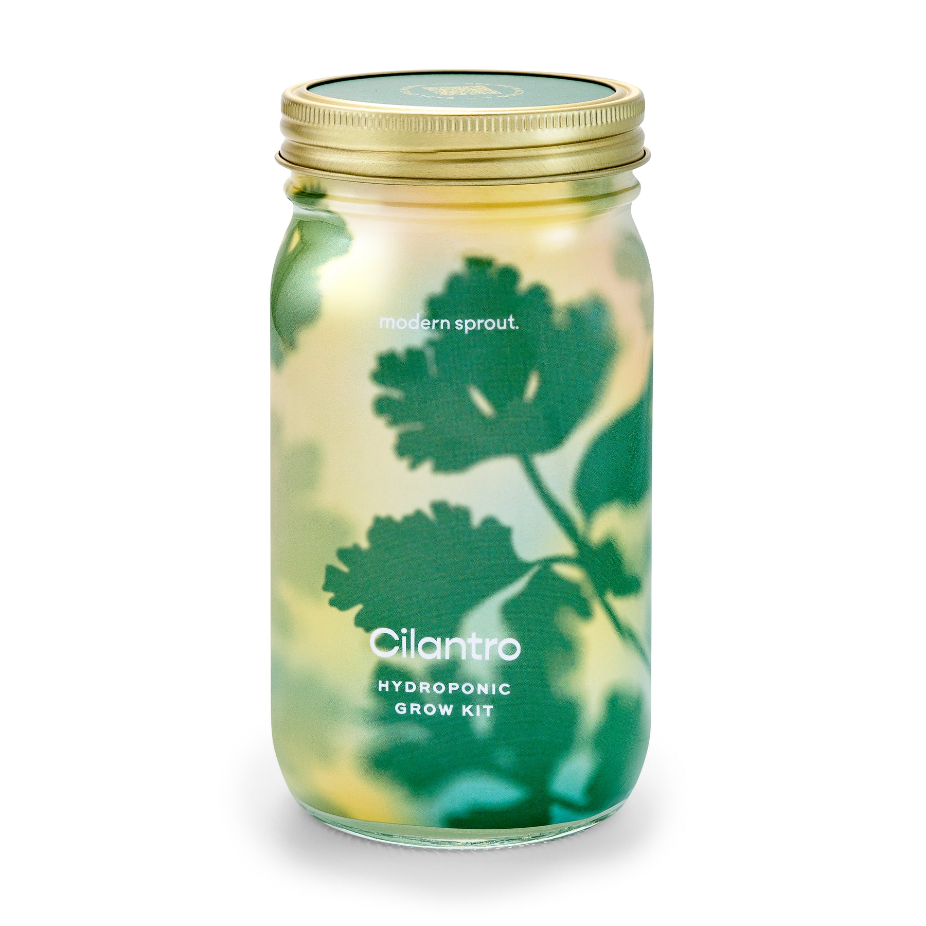 Organic herb garden jar featuring a cilantro hydroponic grow kit with a vibrant green design.