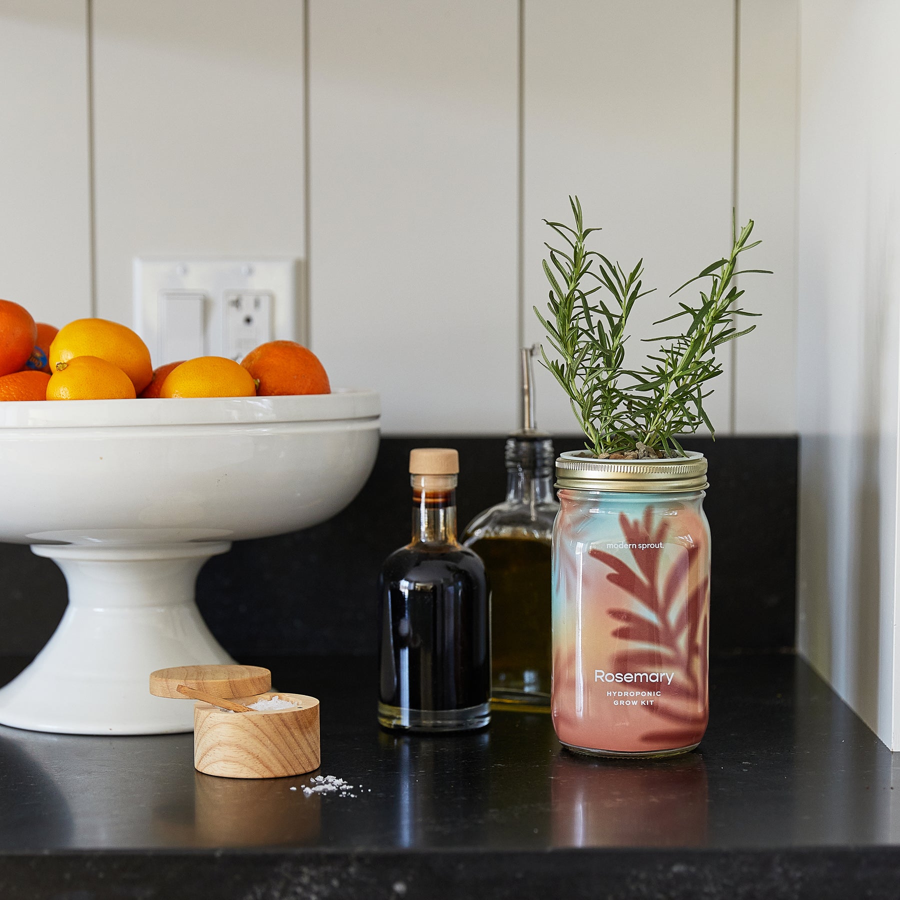 Organic herb garden jar with fresh rosemary, placed on a kitchen counter beside a bowl of citrus fruits and oil bottles.