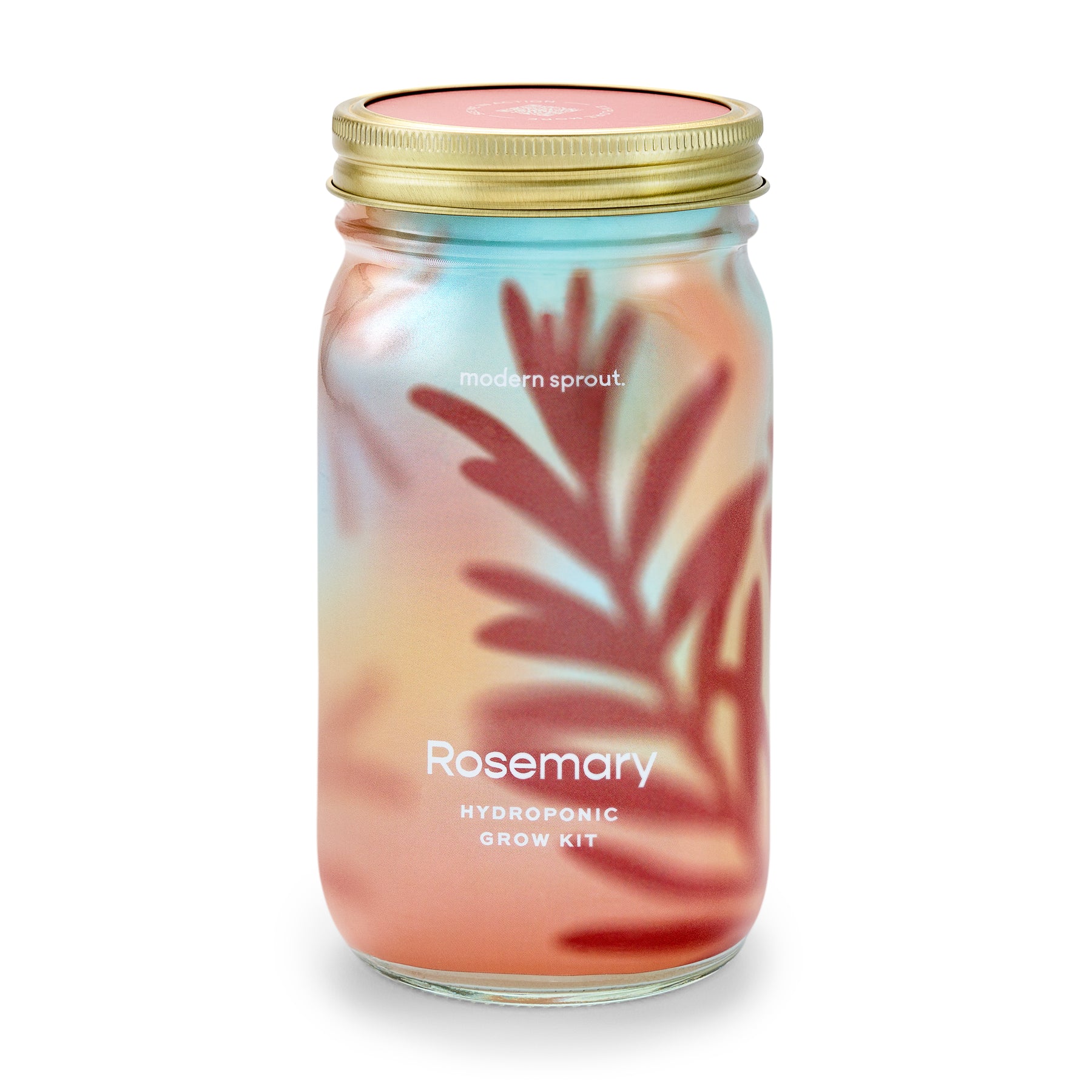 Hydroponic grow kit jar for rosemary with a colorful design, featuring a gold lid and Modern Sprout branding.