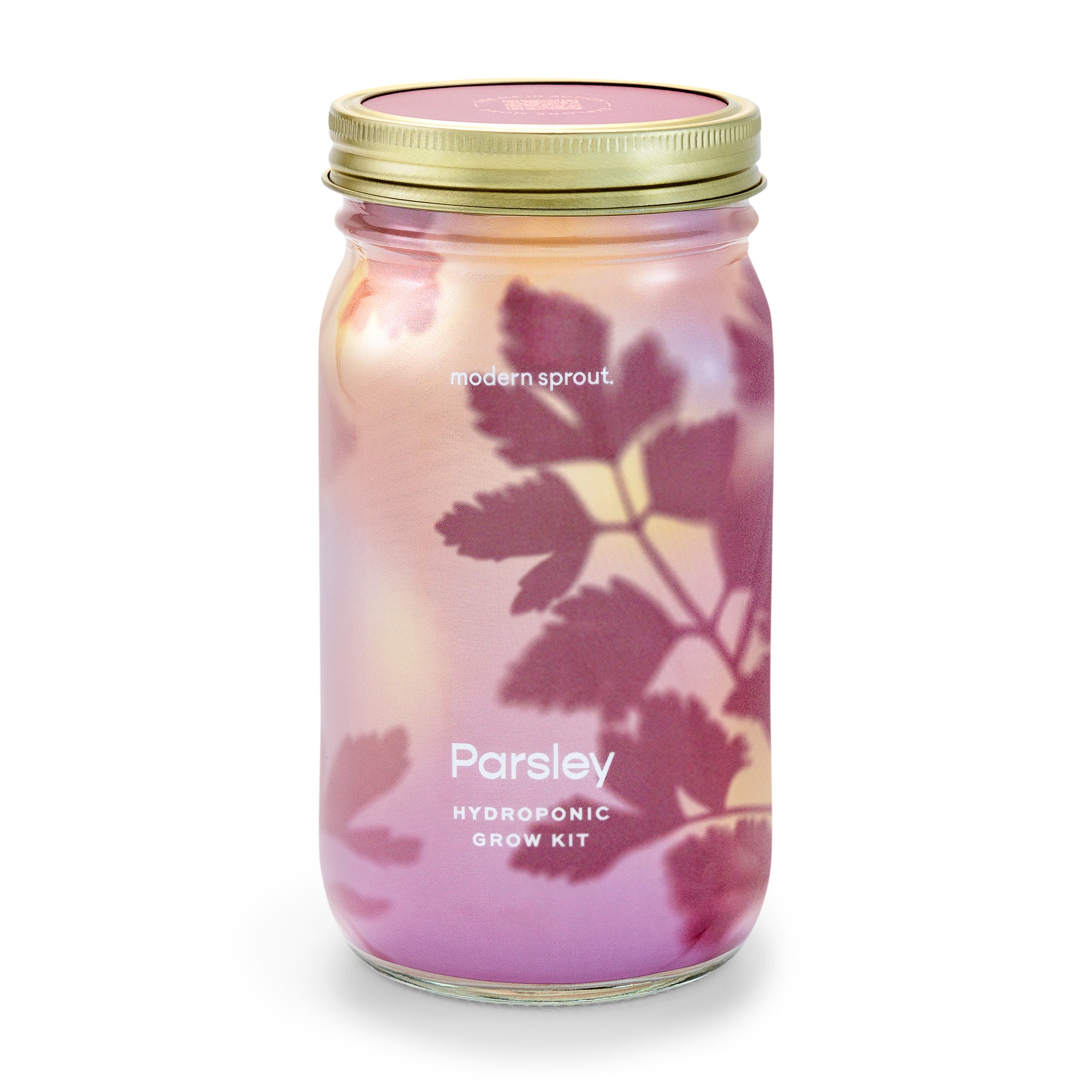 Hydroponic grow kit jar for organic parsley with a decorative label and a gold lid. Ideal for indoor gardening.