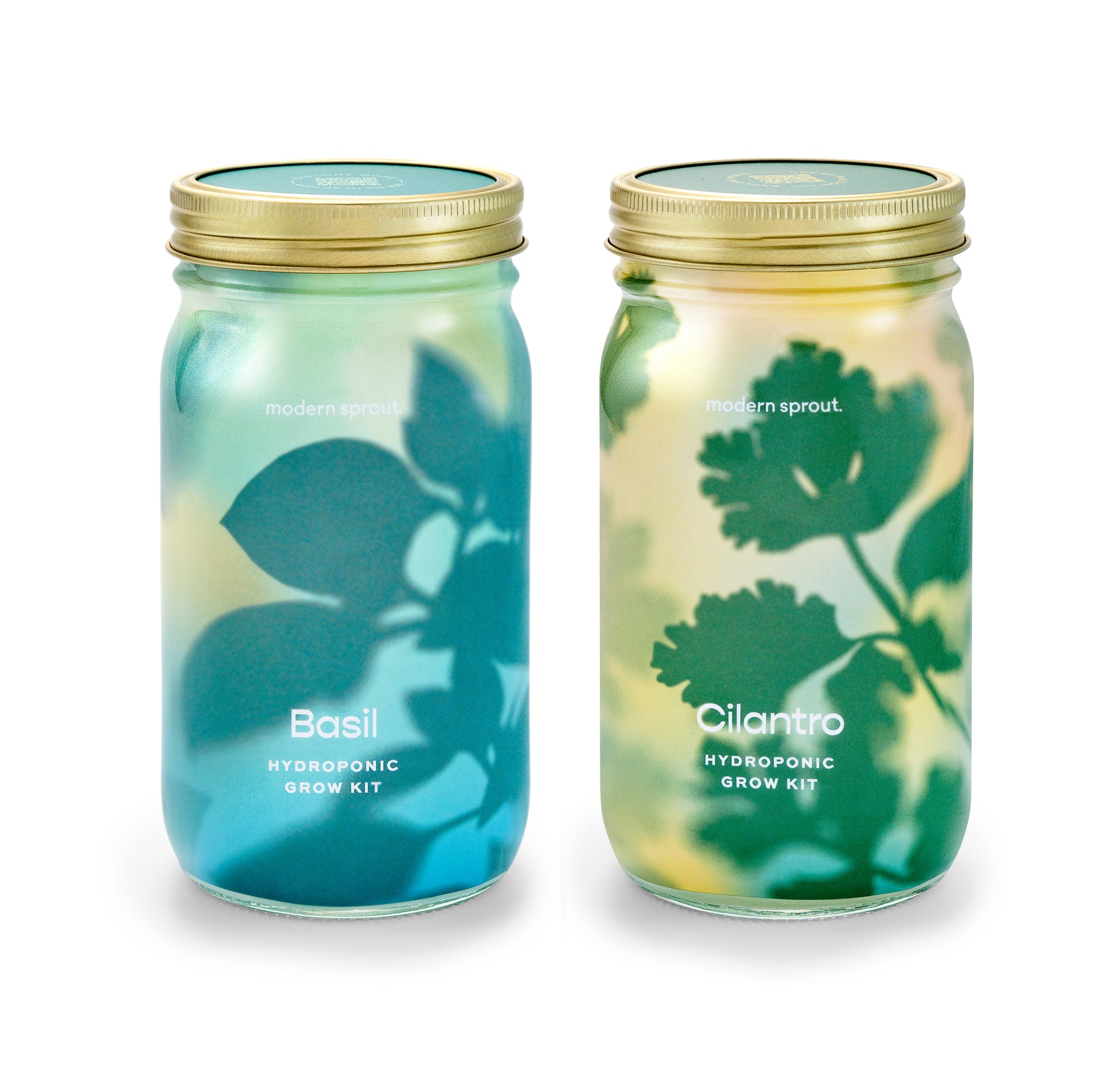 Two garden jars labeled Basil and Cilantro, featuring a vibrant design, showcasing a hydroponic grow kit for organic herbs.