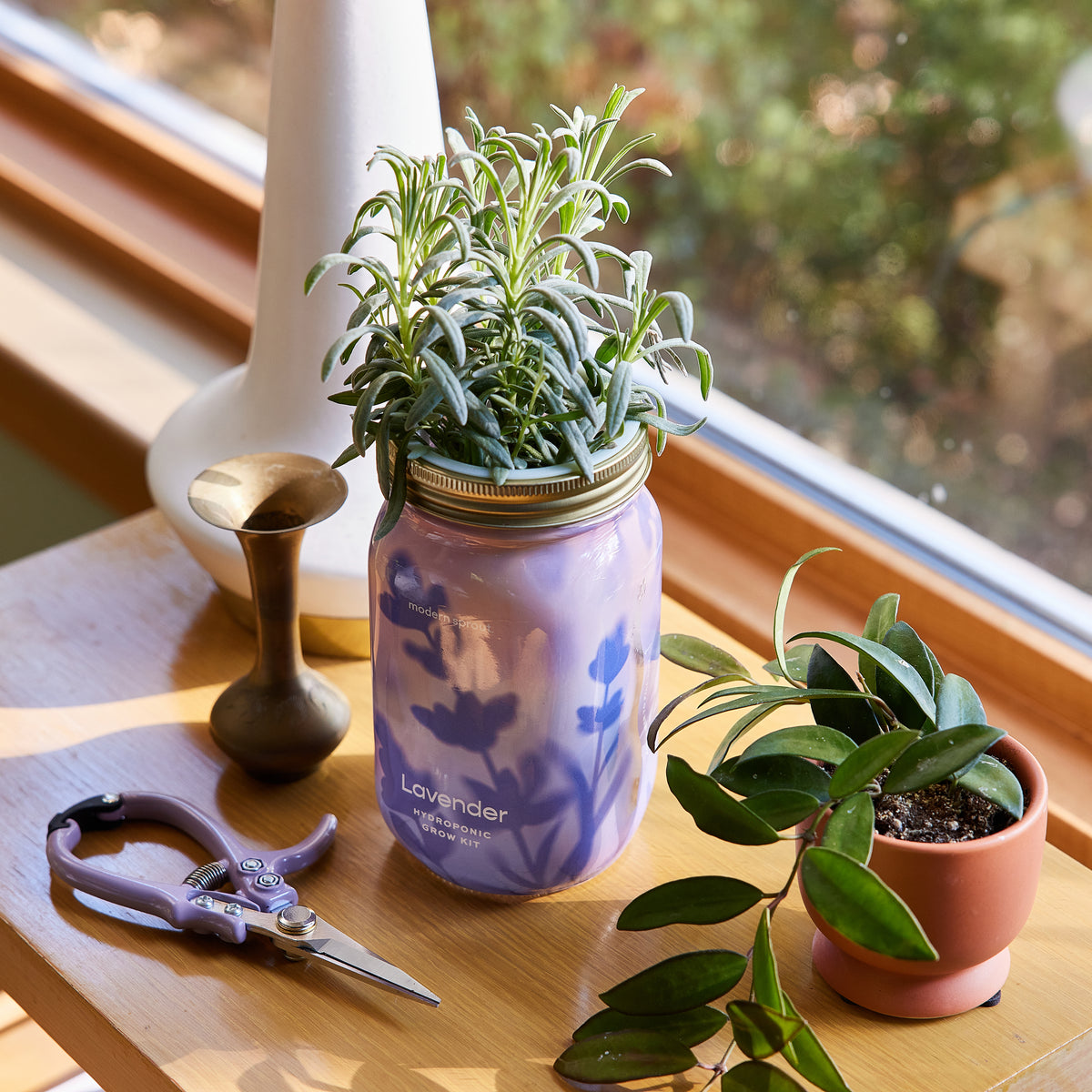 Lavender plant in a purple garden jar on a wooden table, accompanied by scissors and a small potted plant.