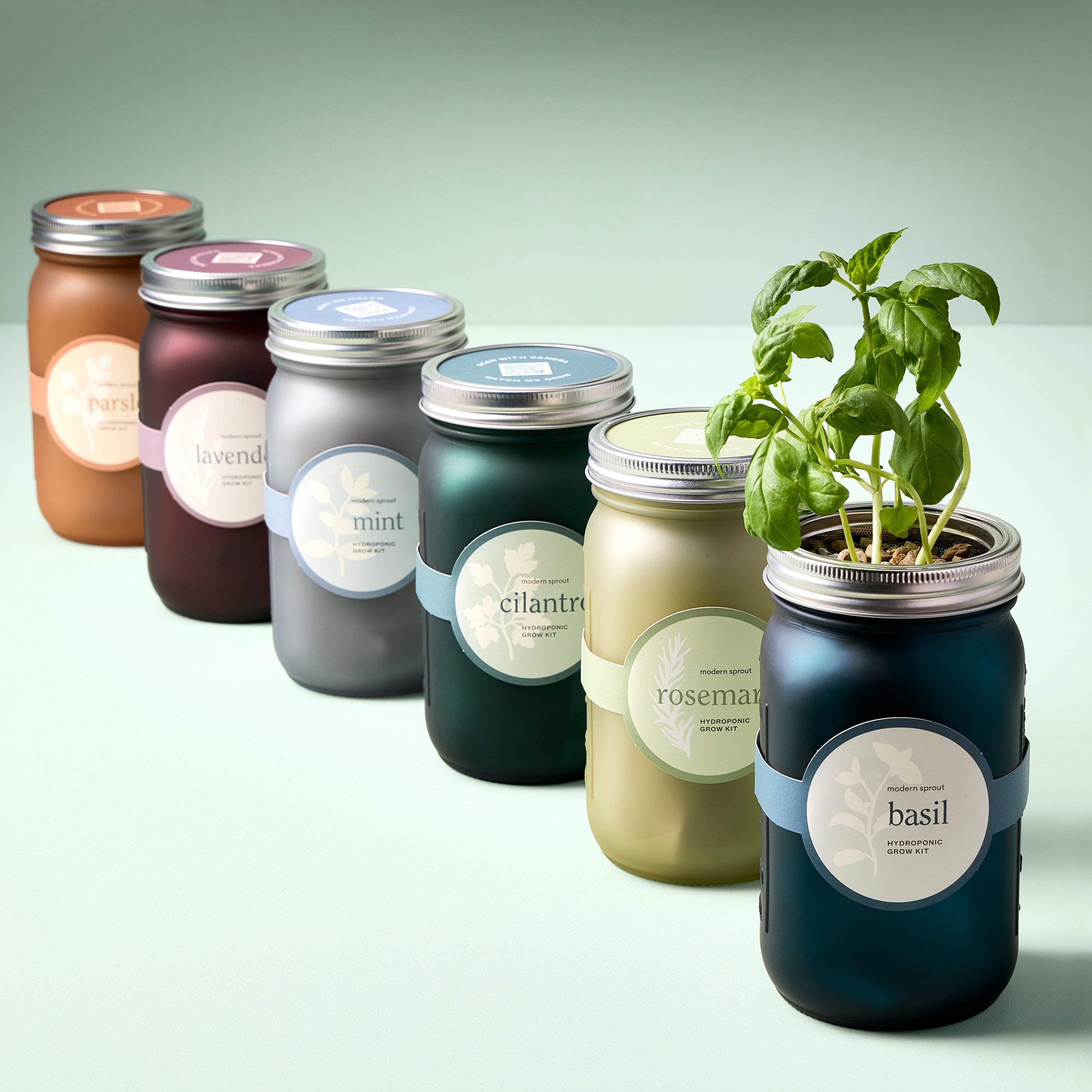 Keep Your Food And Decor Fresh With These 13 Modern Jars And Canisters