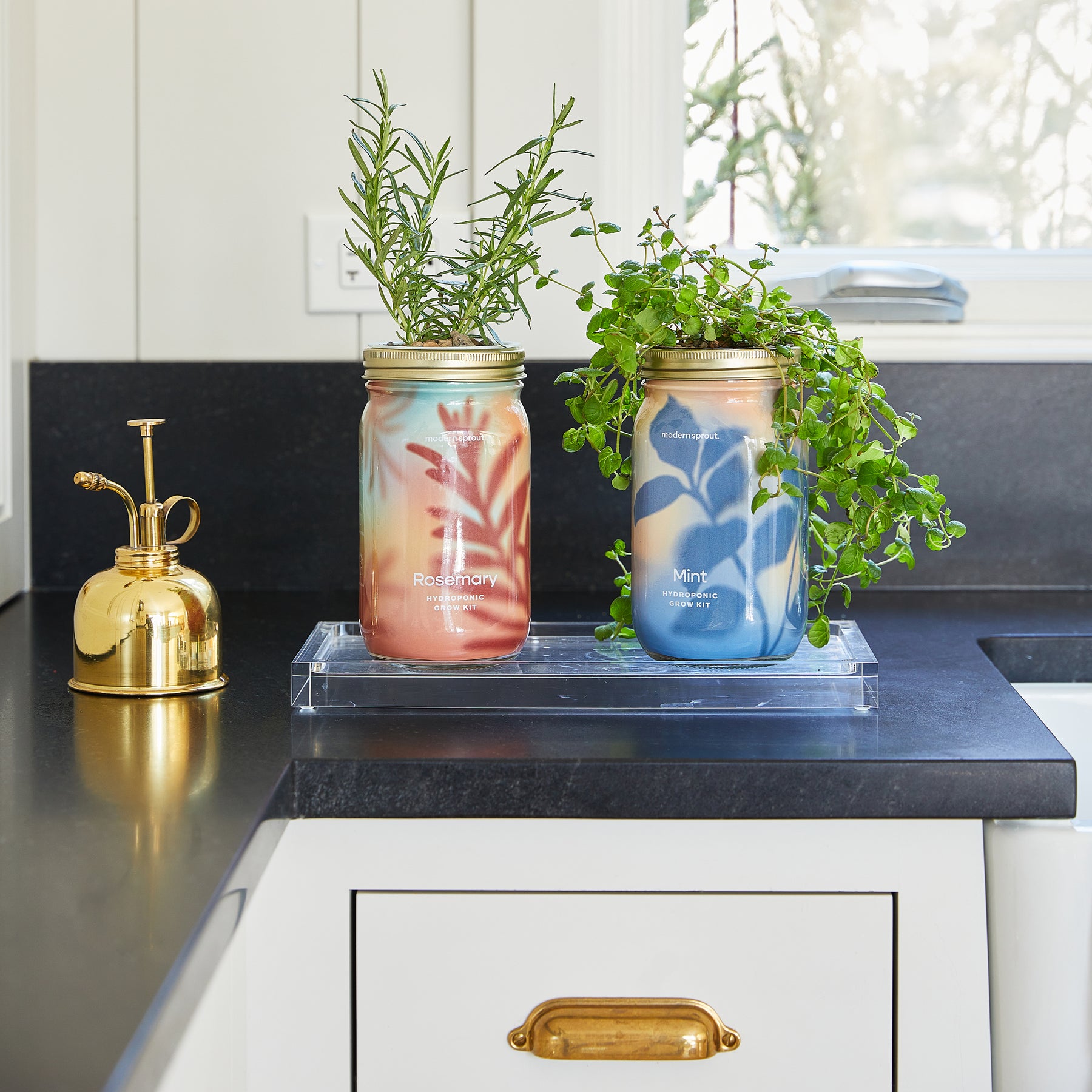 Two garden jars filled with organic rosemary and mint, displayed on a countertop with a gold watering can.