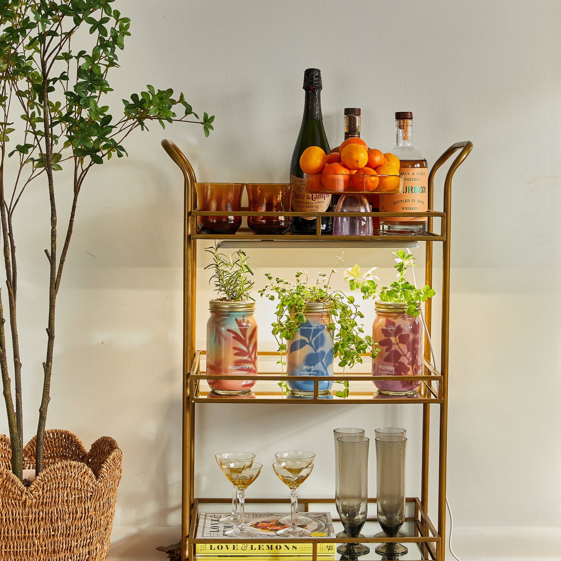Stylish bar cart featuring garden jars with organic herbs, decorative bottles, and glasses, set against a neutral wall.