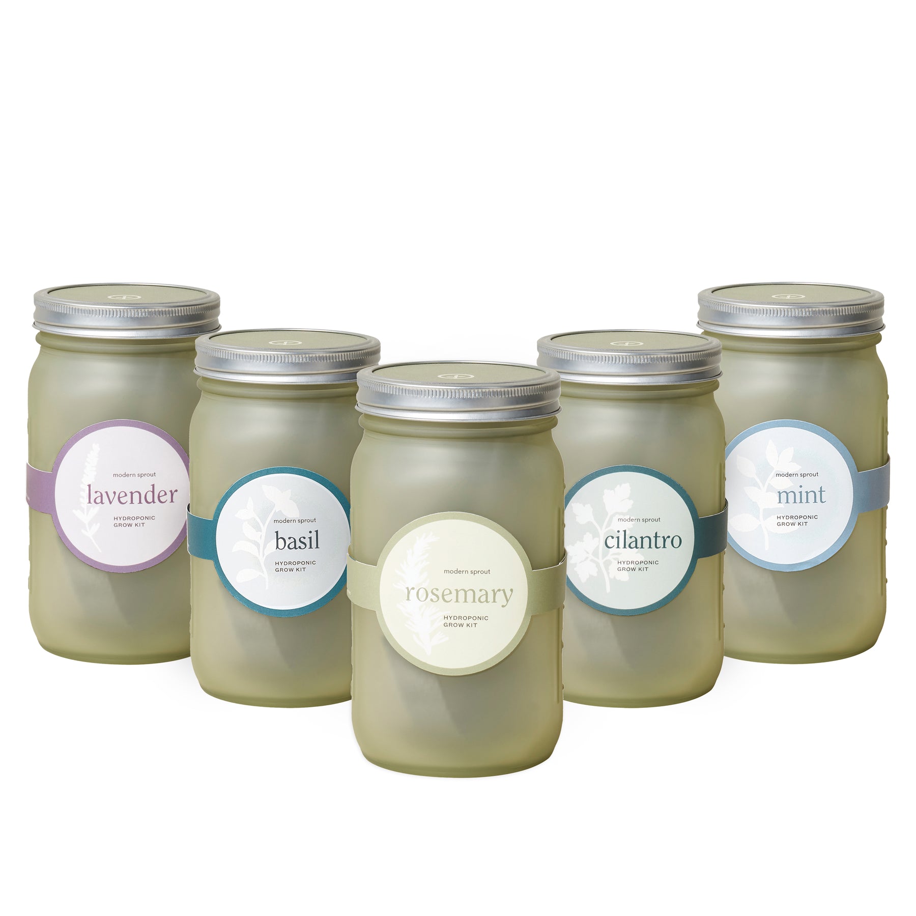 Set of five green glass garden jars labeled with lavender, basil, rosemary, cilantro, and mint for herb storage.